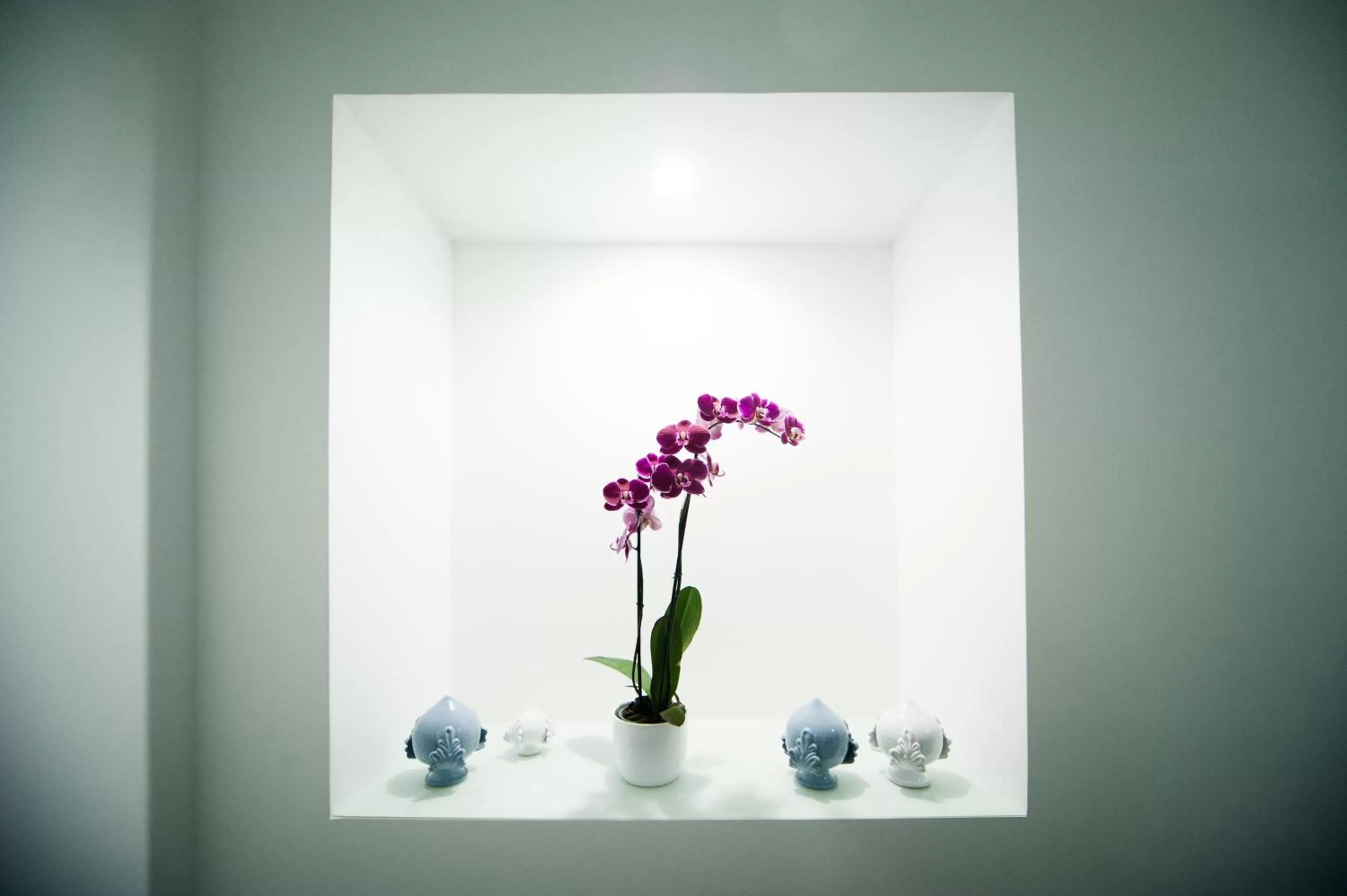 Decorative detail in Tabula Maris B&B