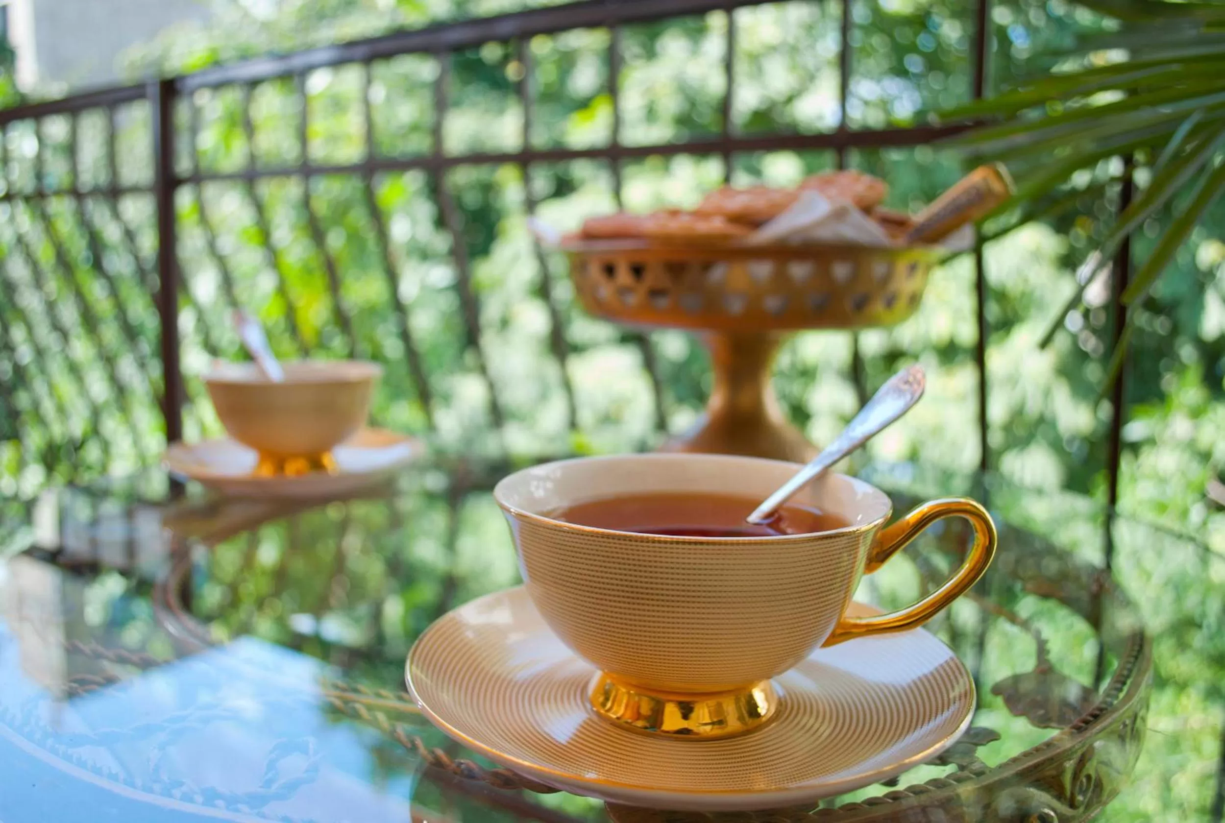 Balcony/Terrace in Hotel British House