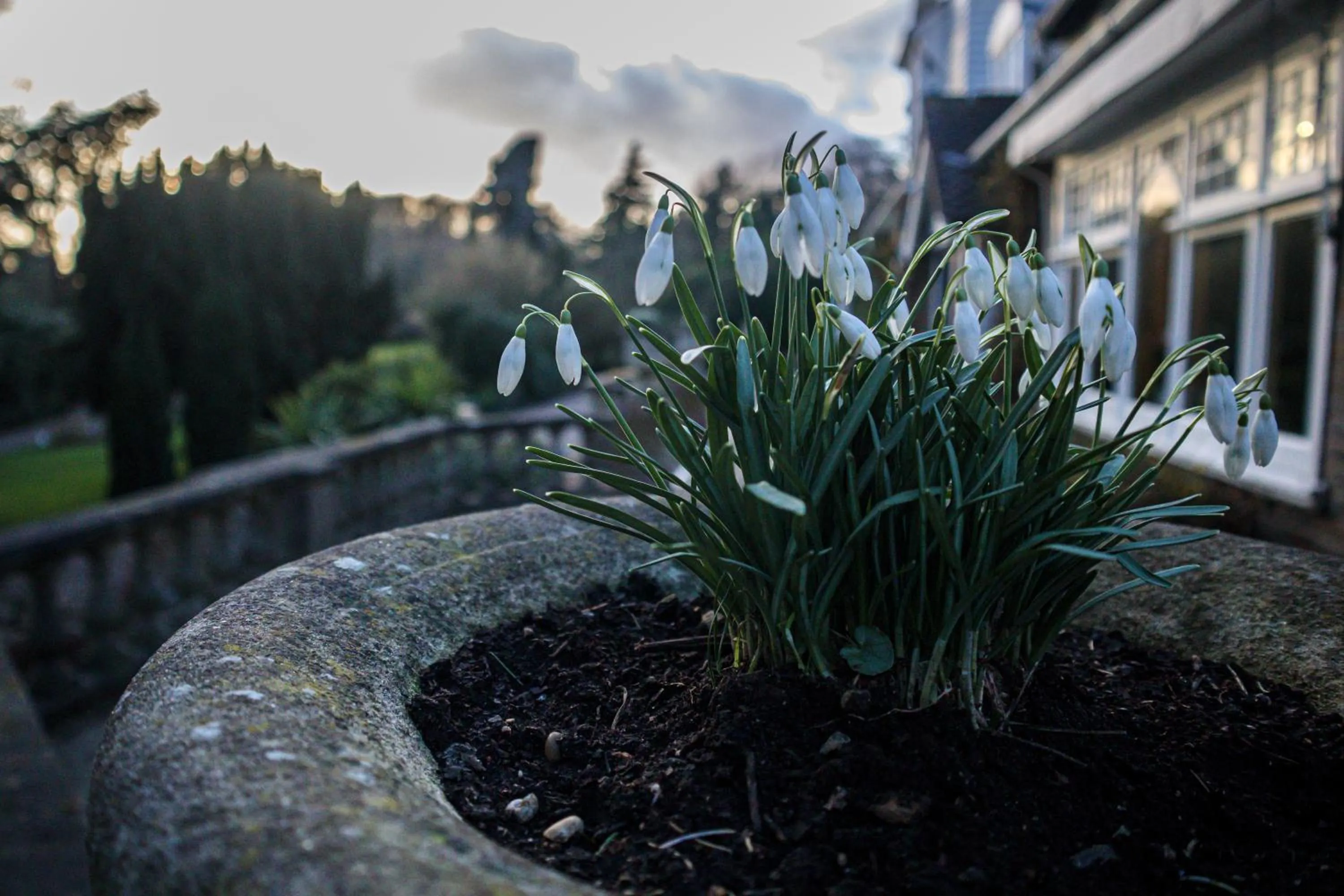 Winter in Rowhill Grange Hotel & Utopia Spa