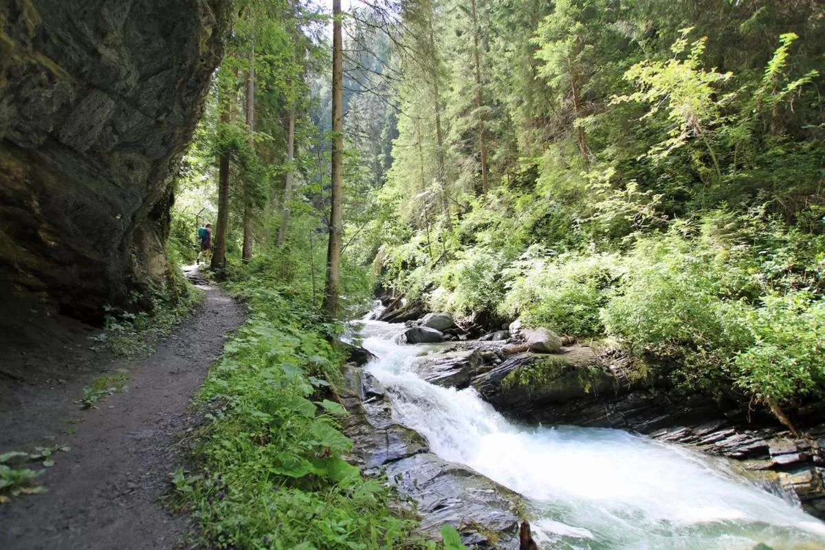 Natural Landscape in Pension Fuchs