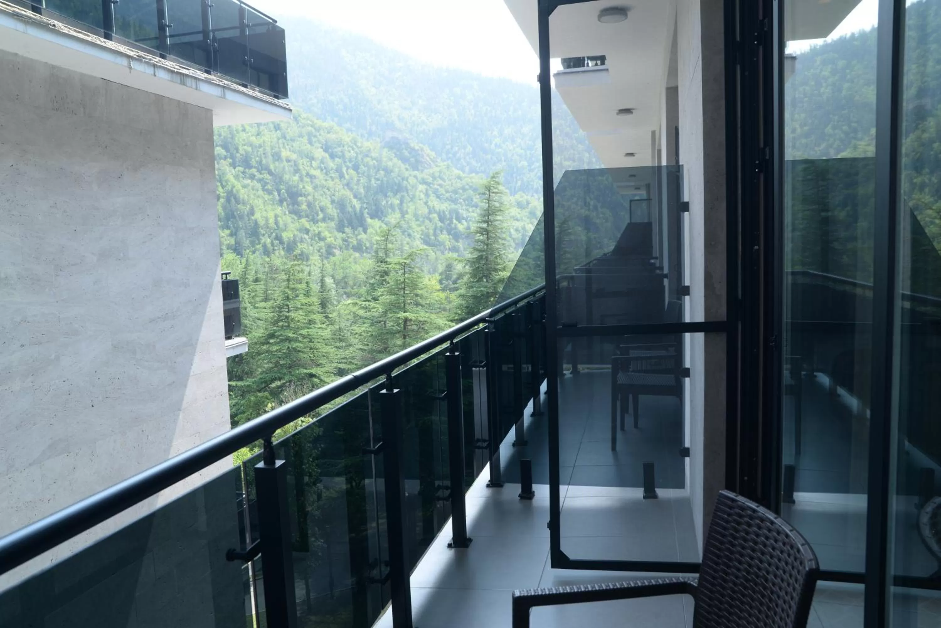 View (from property/room) in Borjomi Likani Health & Spa Centre