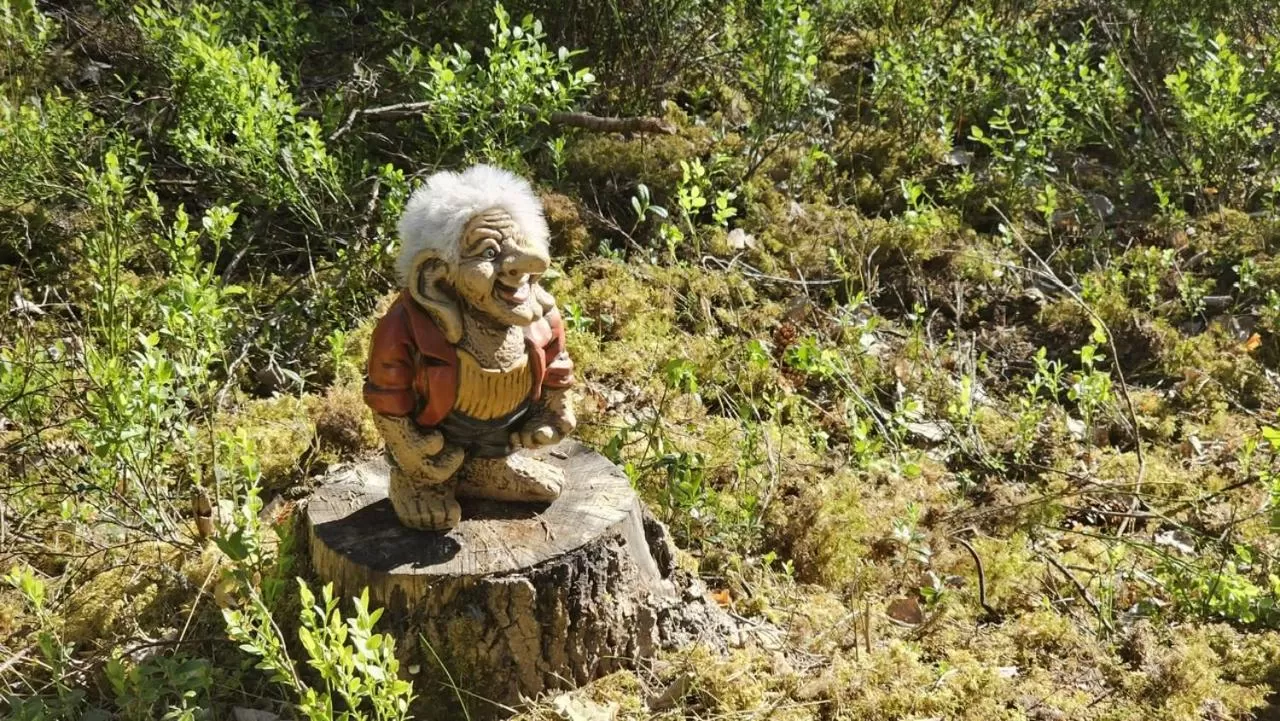 Ankis Bed and Brekfast, Vimmerby