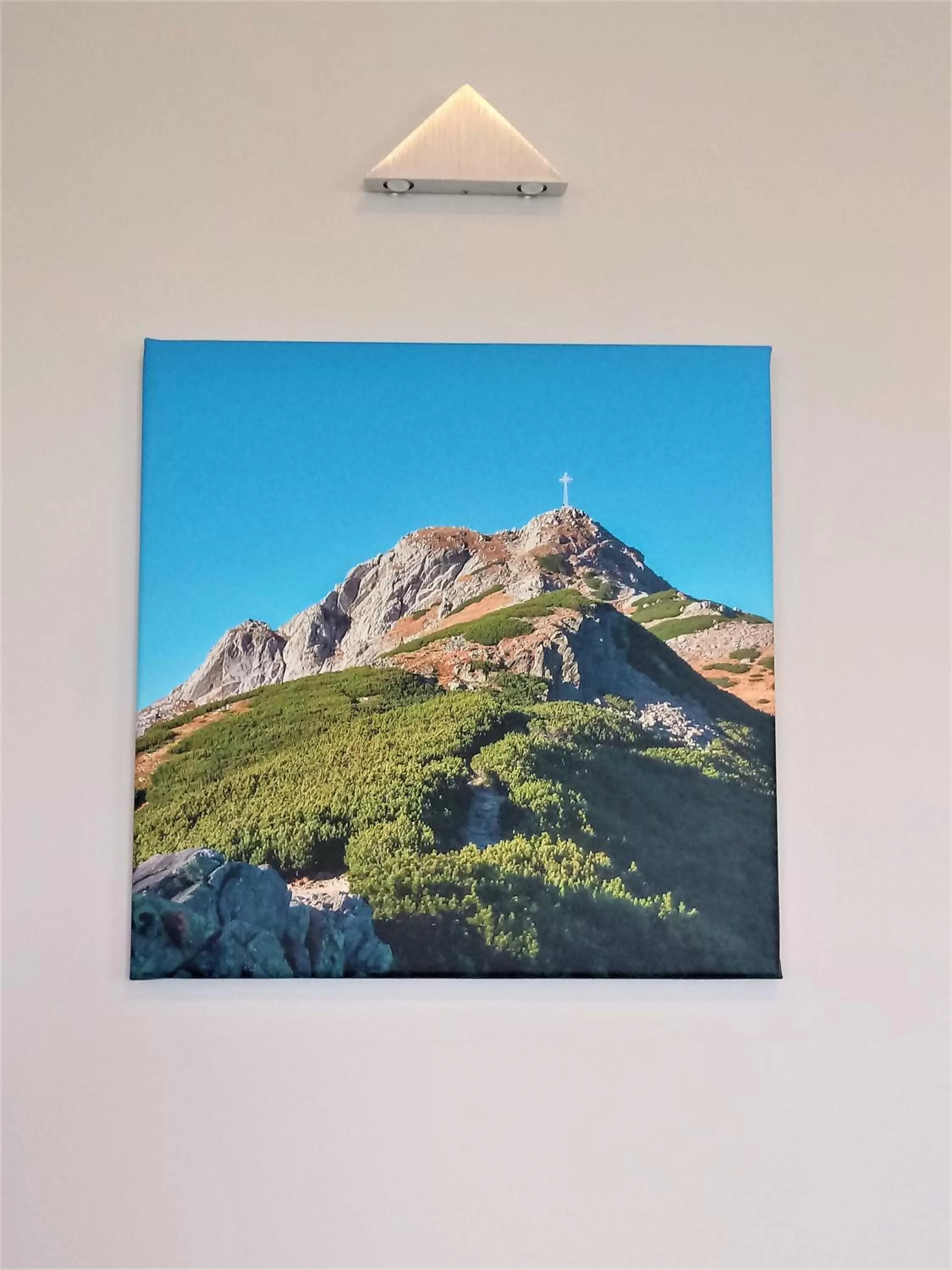 Natural landscape in Willa na Olczańskim Wierchu