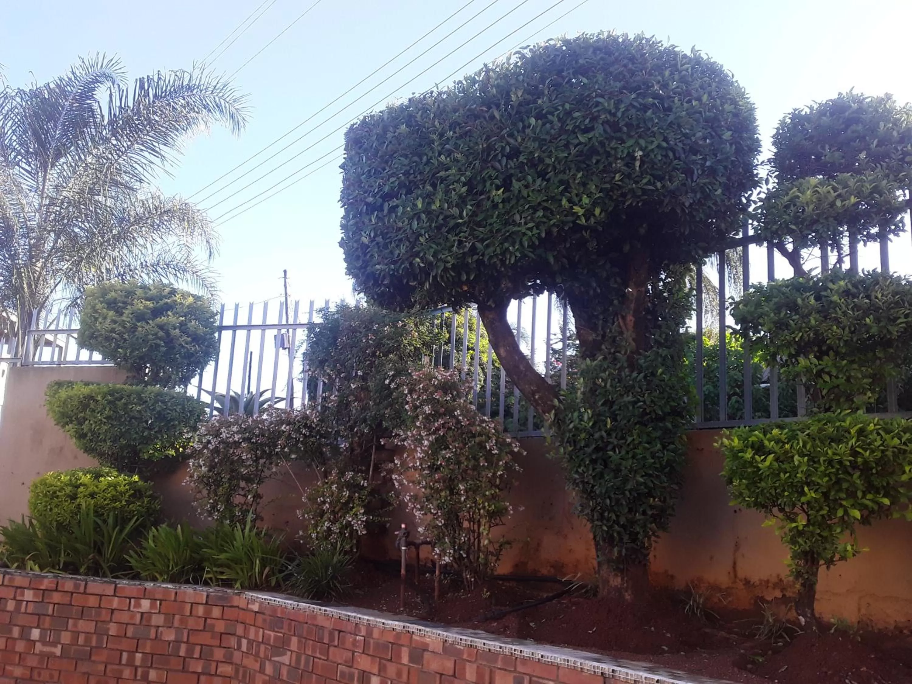 Garden in Vuya Nathi Bed and Breakfast