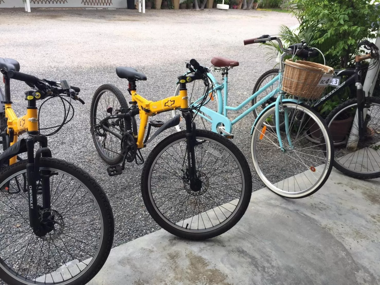 Biking in BC Summer Beach