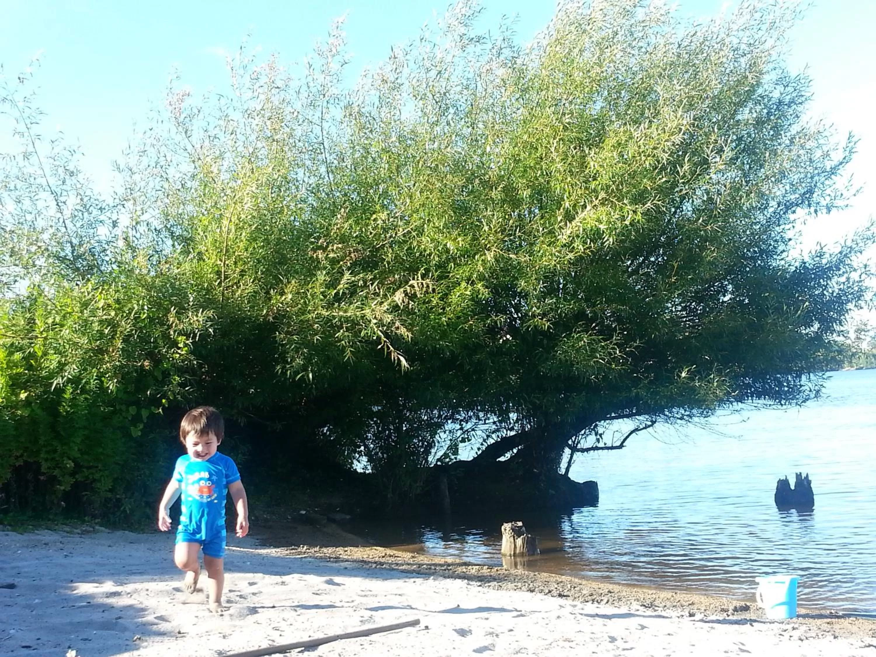 Beach in Koutu Beach Bed and Breakfast