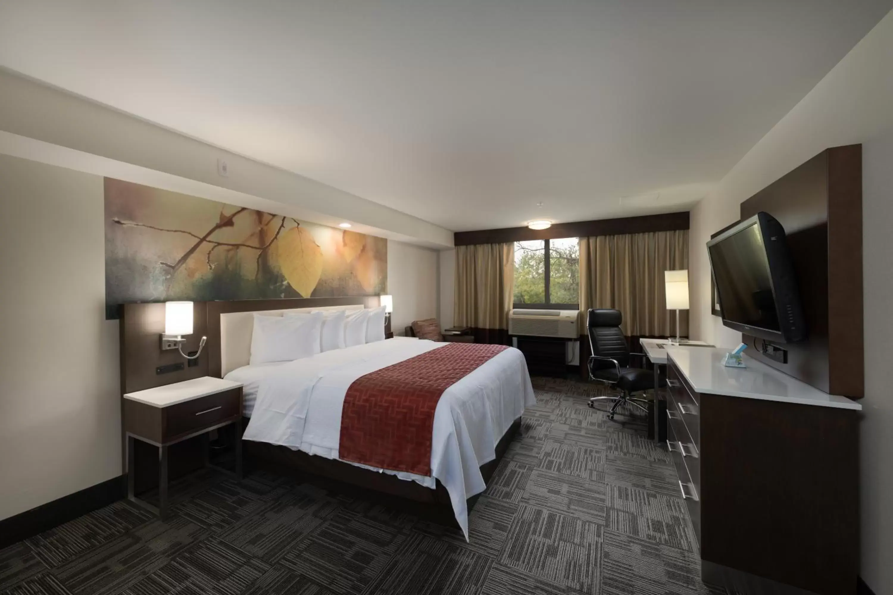 King Room - Mobility Access/Roll in Shower - Non-Smoking in Holiday Inn Brookfield - Milwaukee by IHG King Room - Mobility Access/Roll in Shower - Non-Smoking in Holiday Inn Brookfield - Milwaukee by IHG