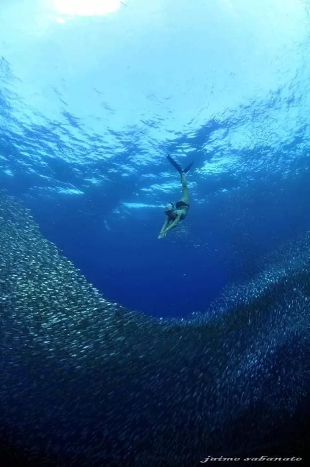 Snorkeling in Marina Village