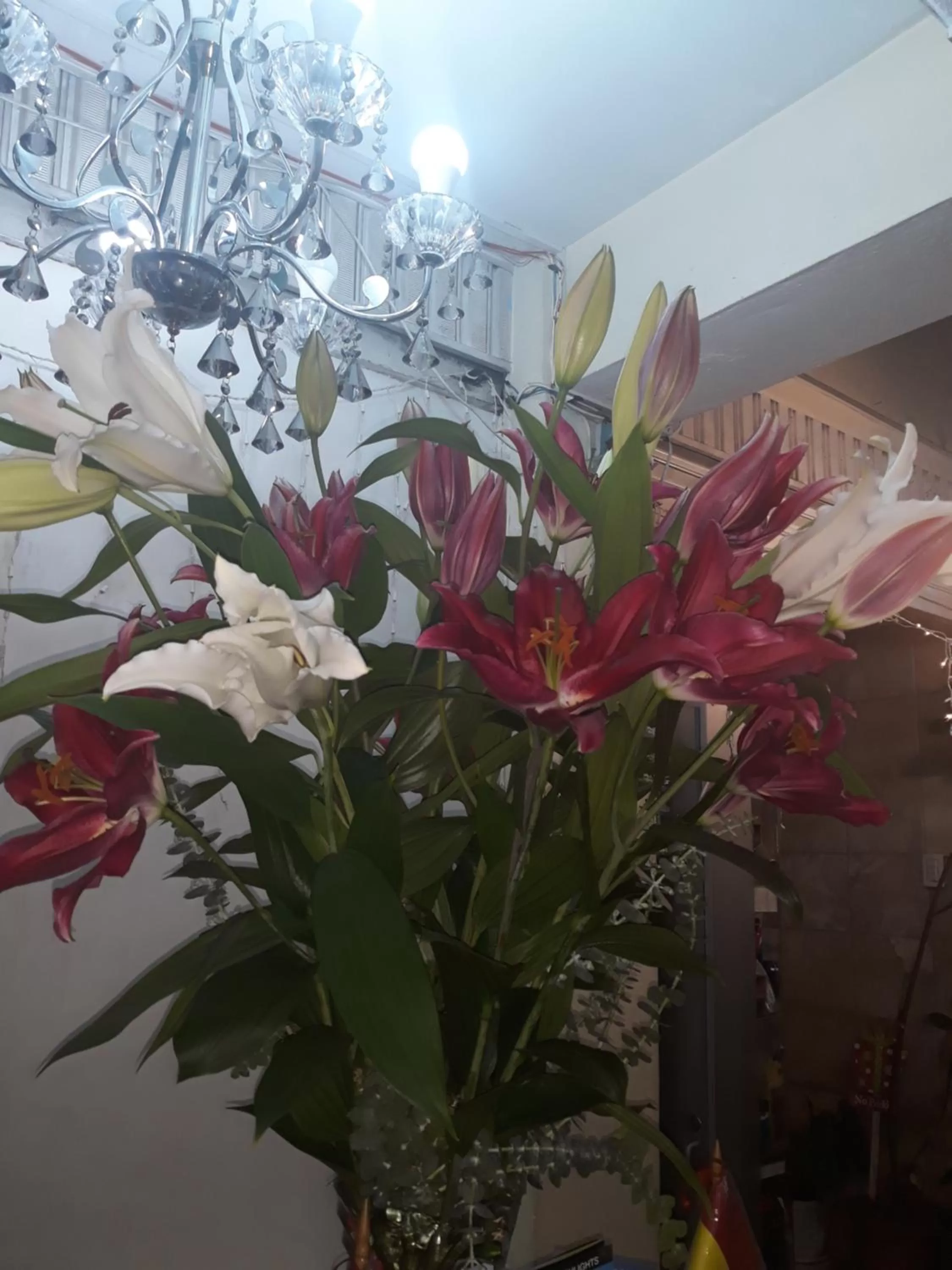 Hostal Terrabella SRL