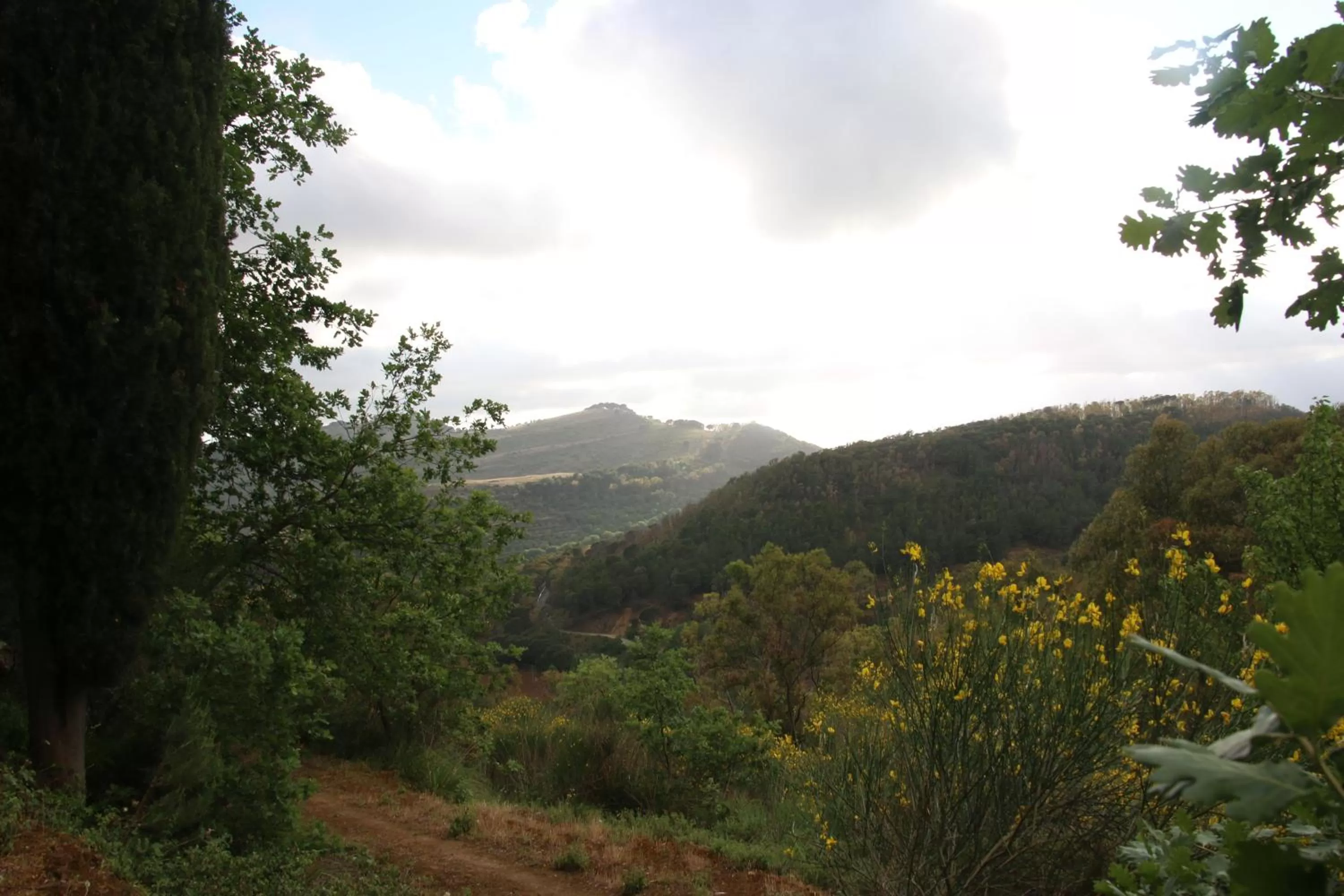 Mountain view in B&B La Roverella