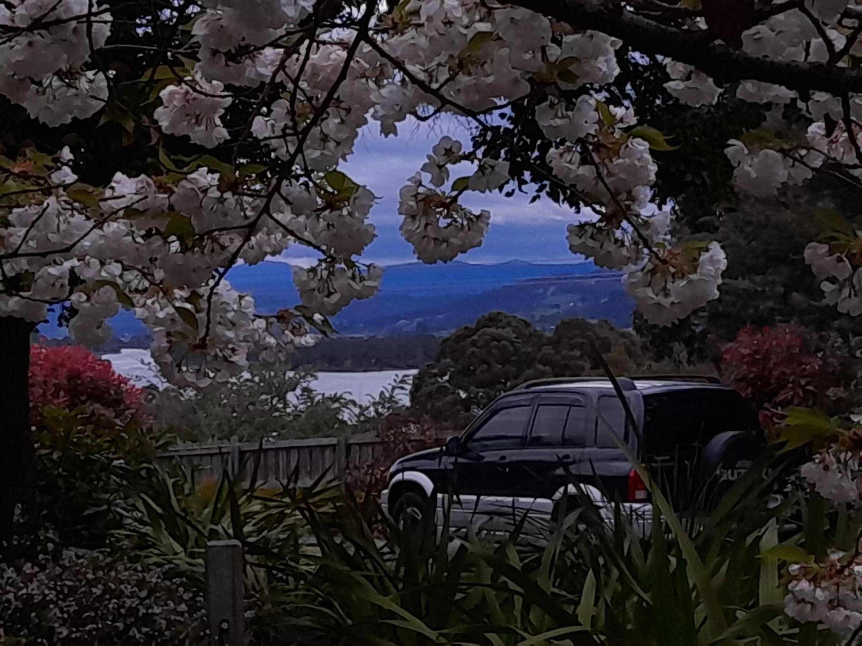 Hillside Bed and Breakfast