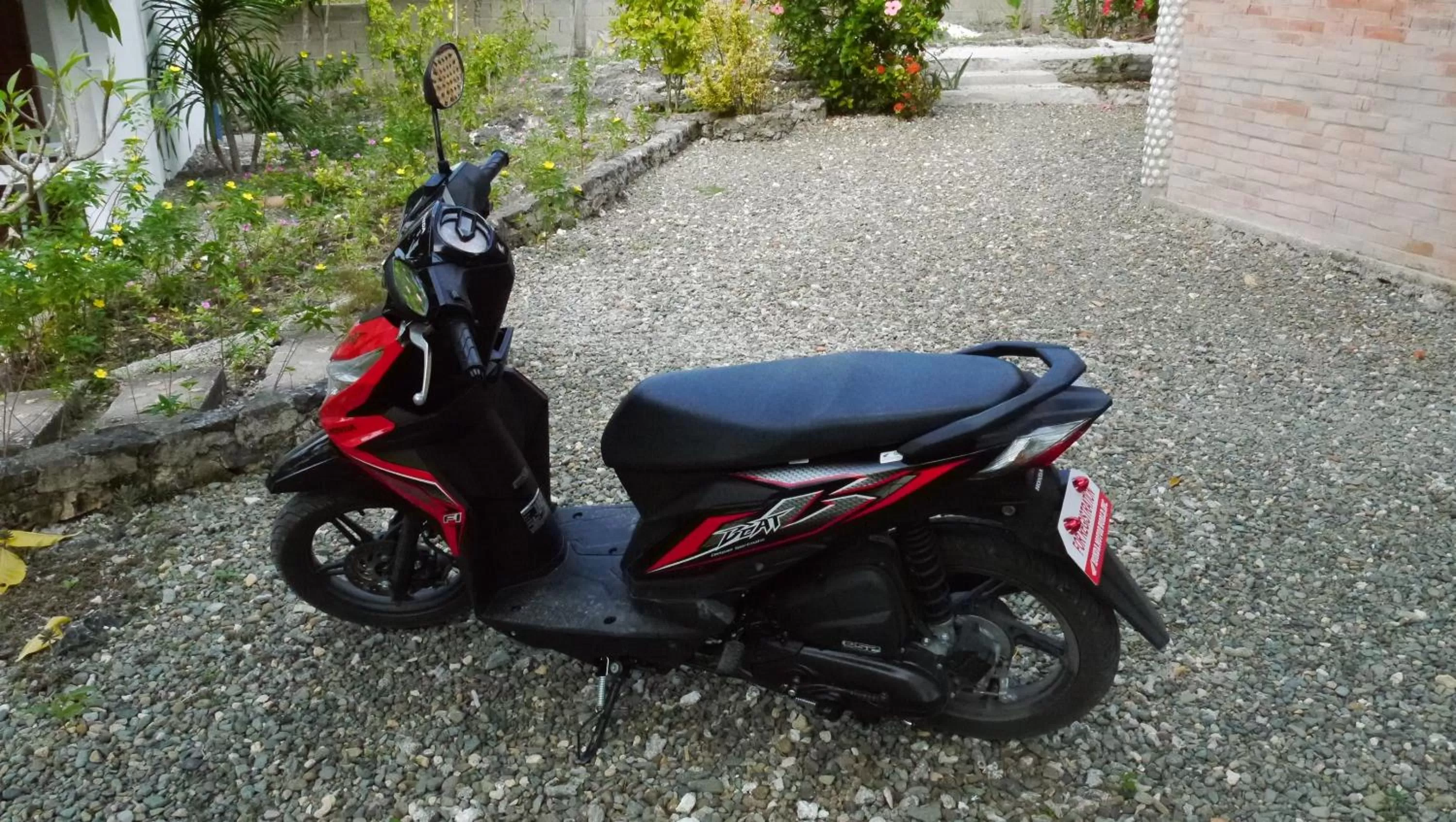 Activities in Moalboal T Breeze Coastal Resort