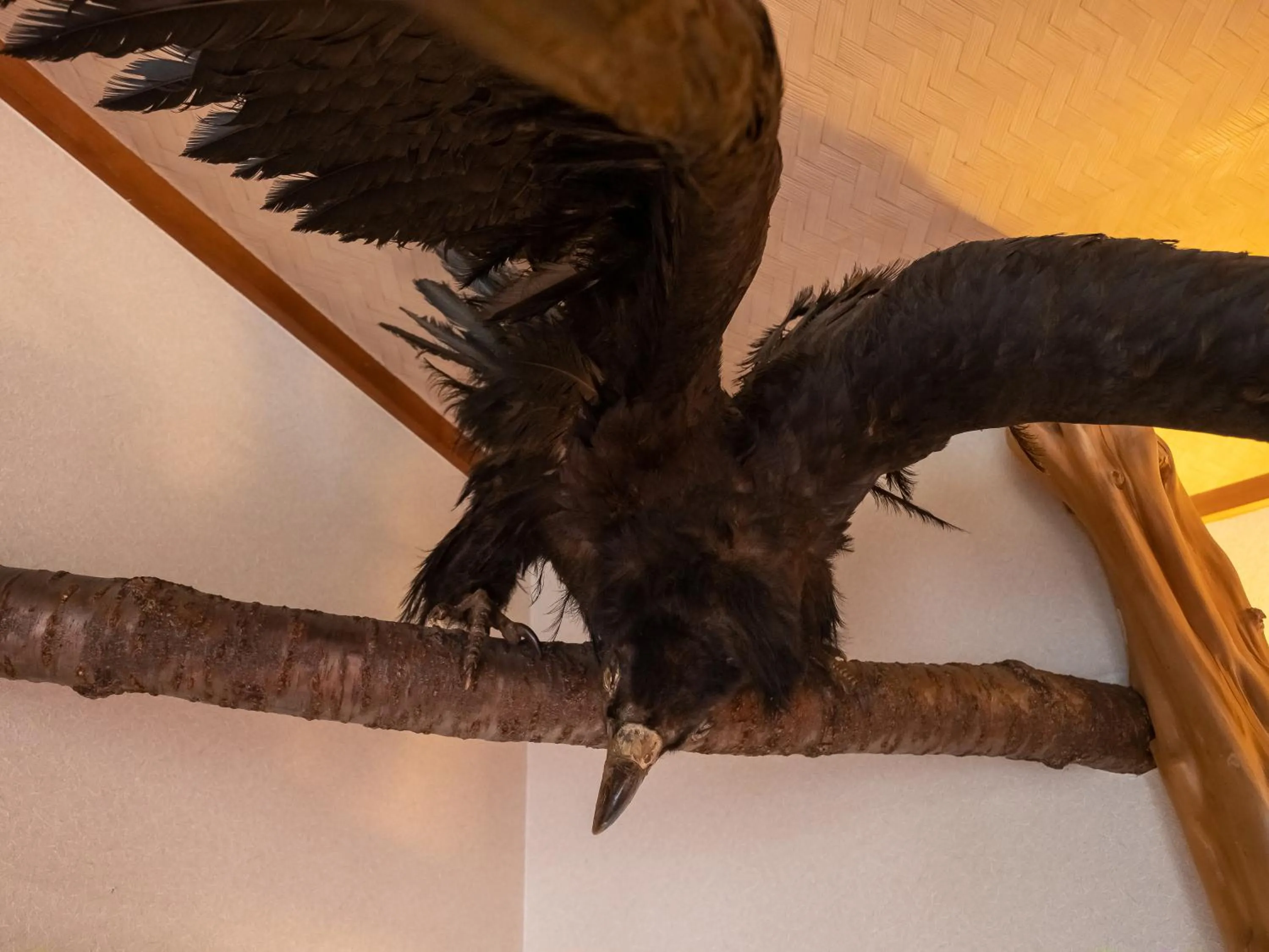 Decorative detail in Shirayunoyado Yamadaya Hakone Gora