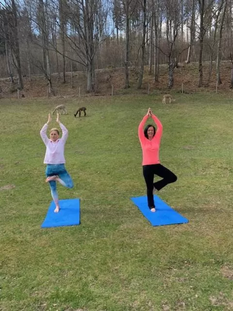 Activities in Hotel Waldmühle