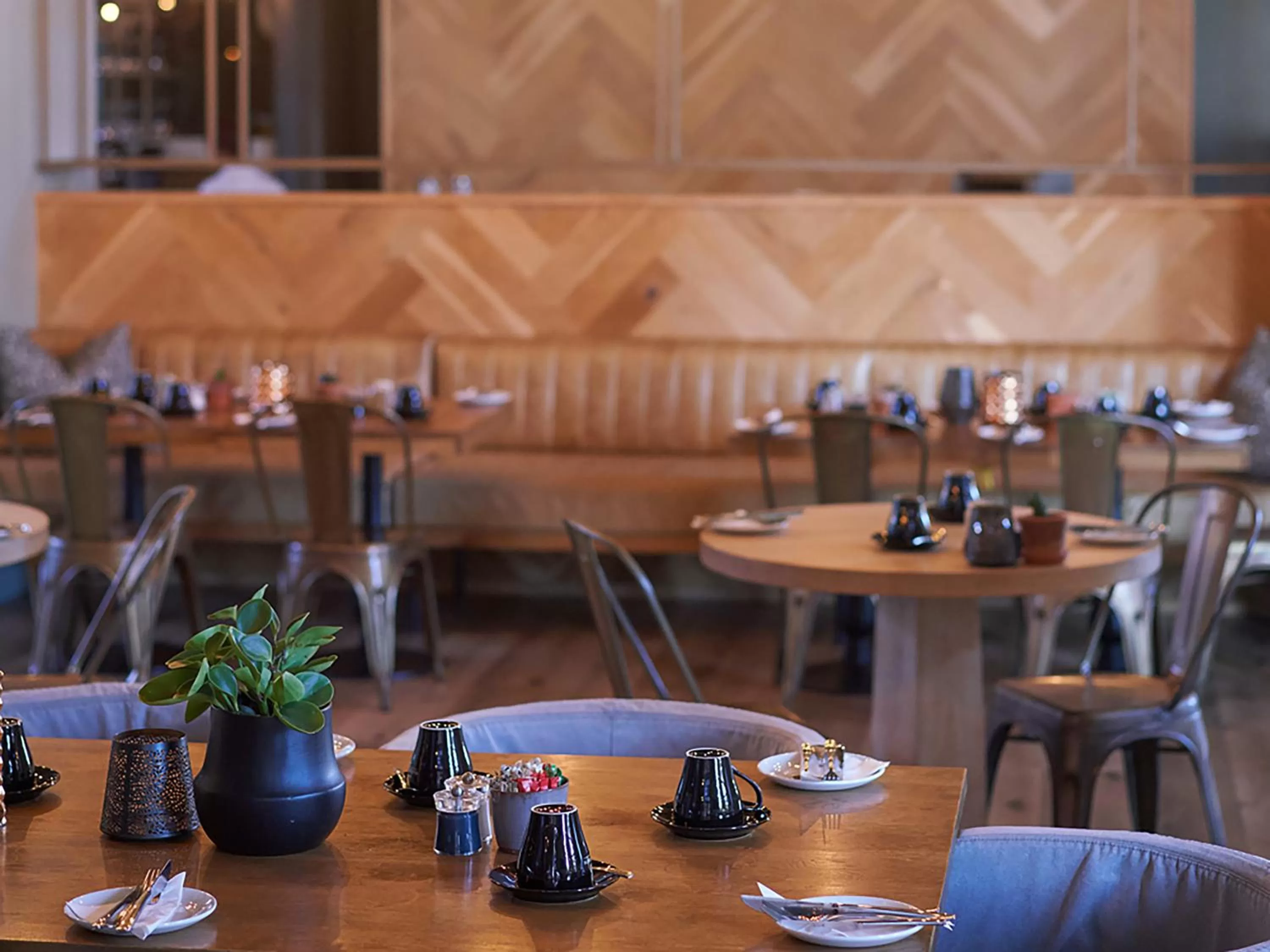 Restaurant/places to eat in aha The Rex Hotel