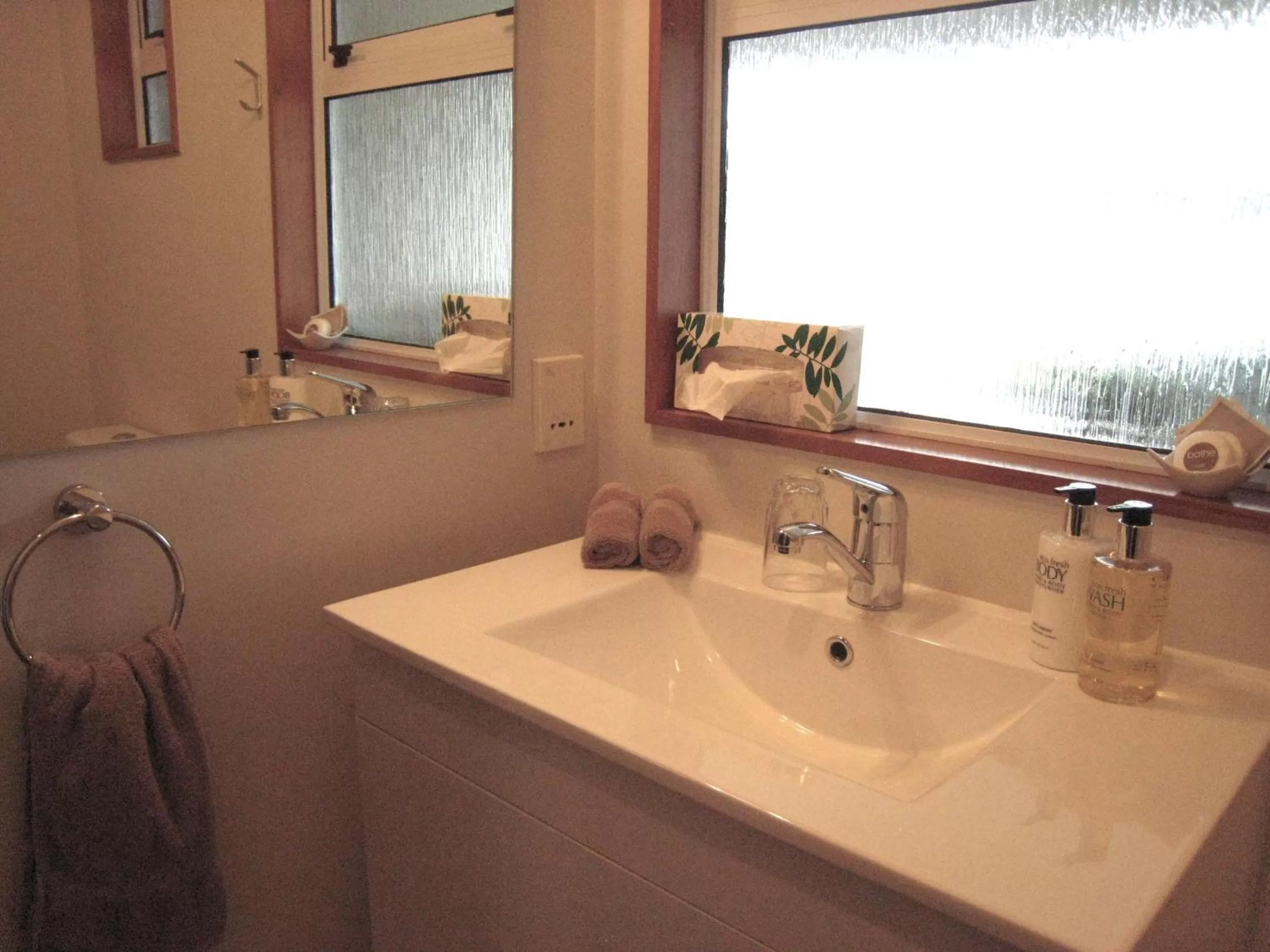 Bathroom in Buller Court on Palmerston