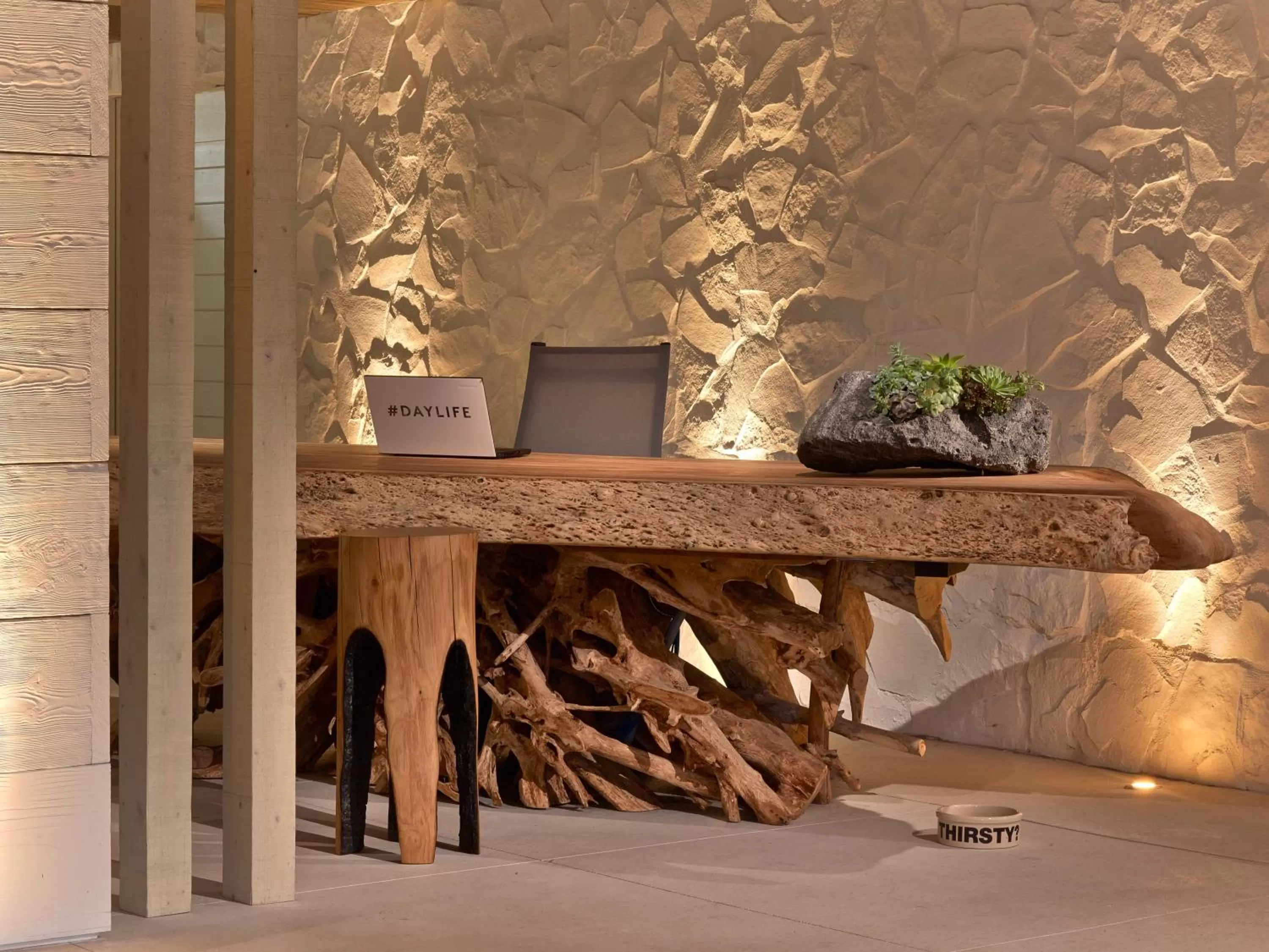 Pets in 1 Hotel South Beach