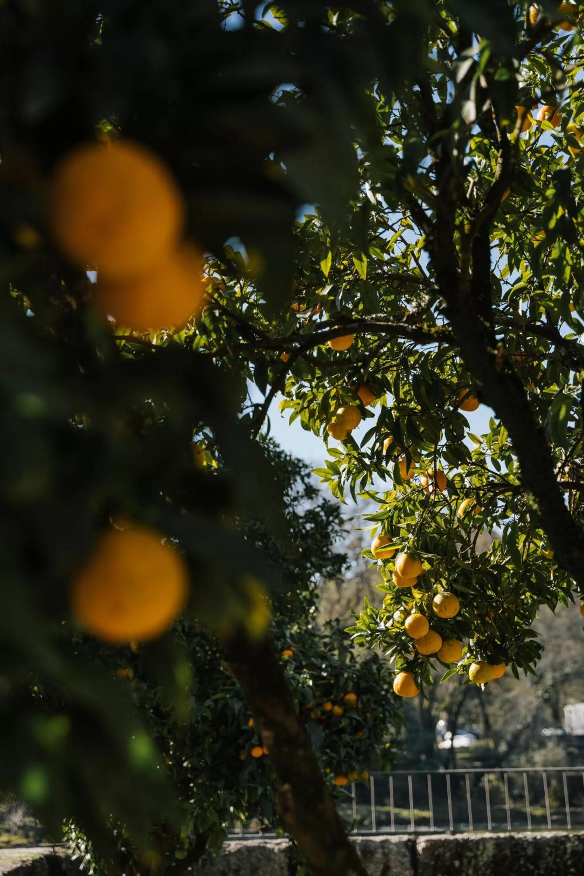 Off site in Ribeira Collection Hotel by Piamonte Hotels