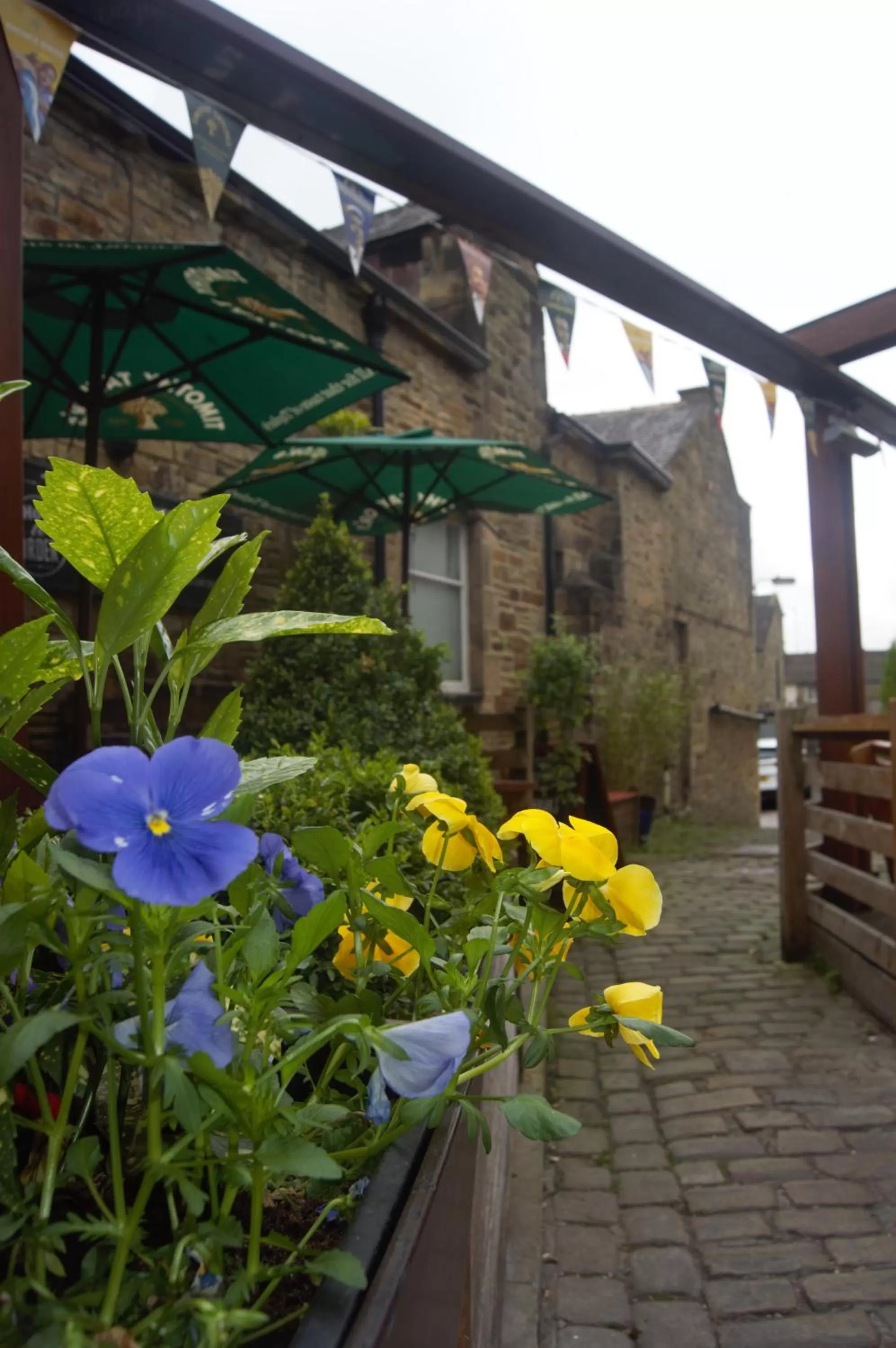Garden in The Woolly Sheep Inn