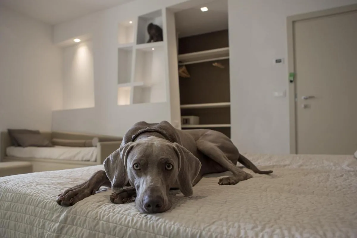 Bed in Hotel Principe