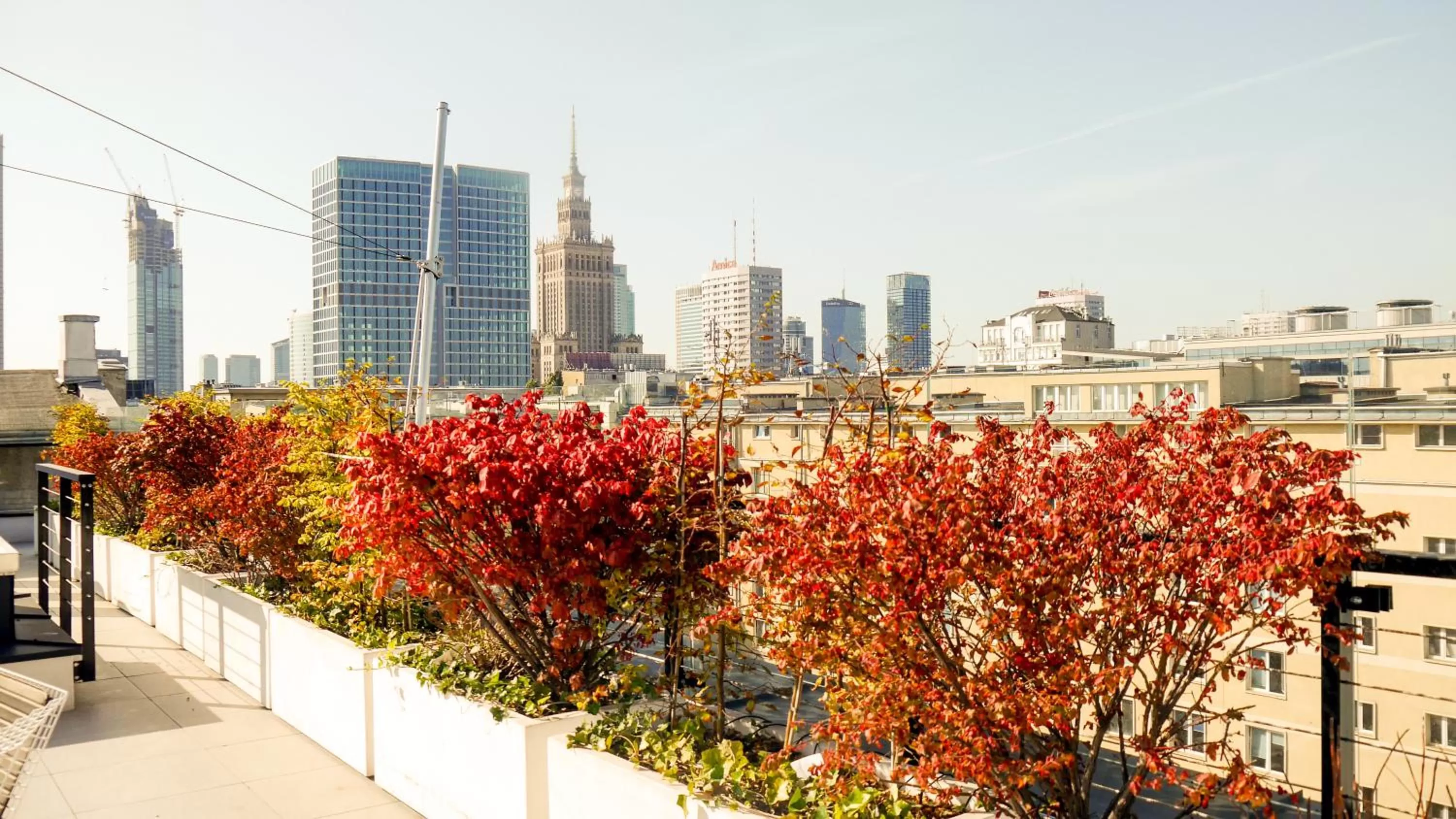 Balcony/Terrace in No.4 Residence