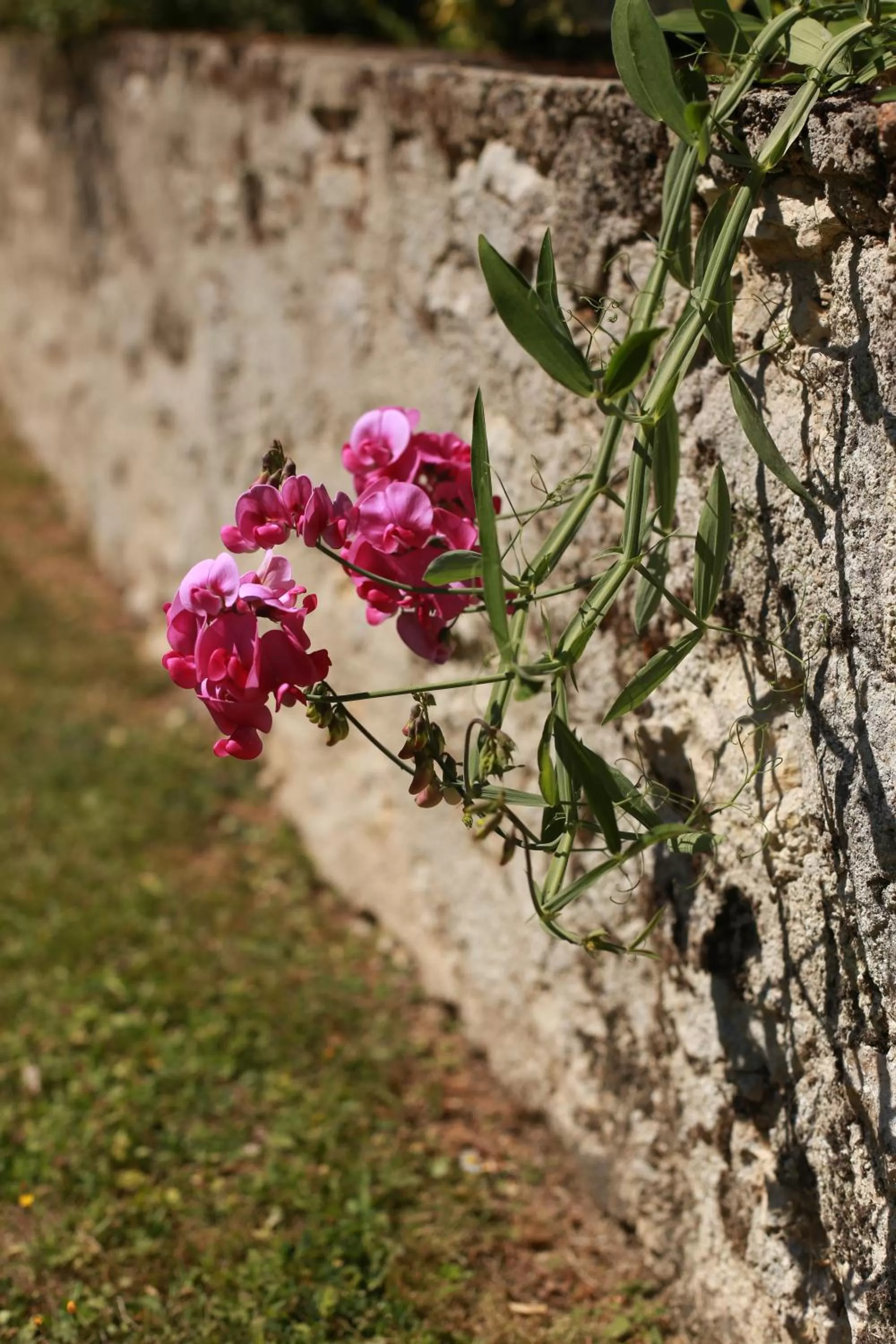 Property building in Les Rêves de Flamboin