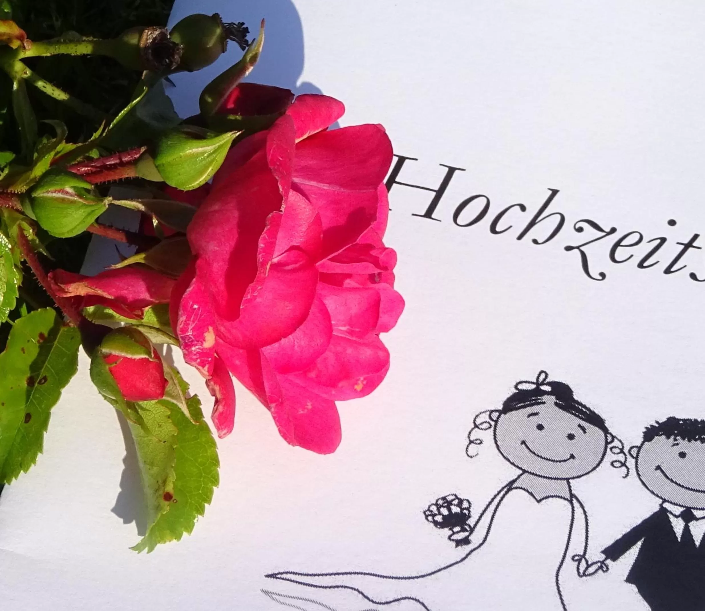 Restaurant/places to eat in Landhotel Kastanienallee Putbus