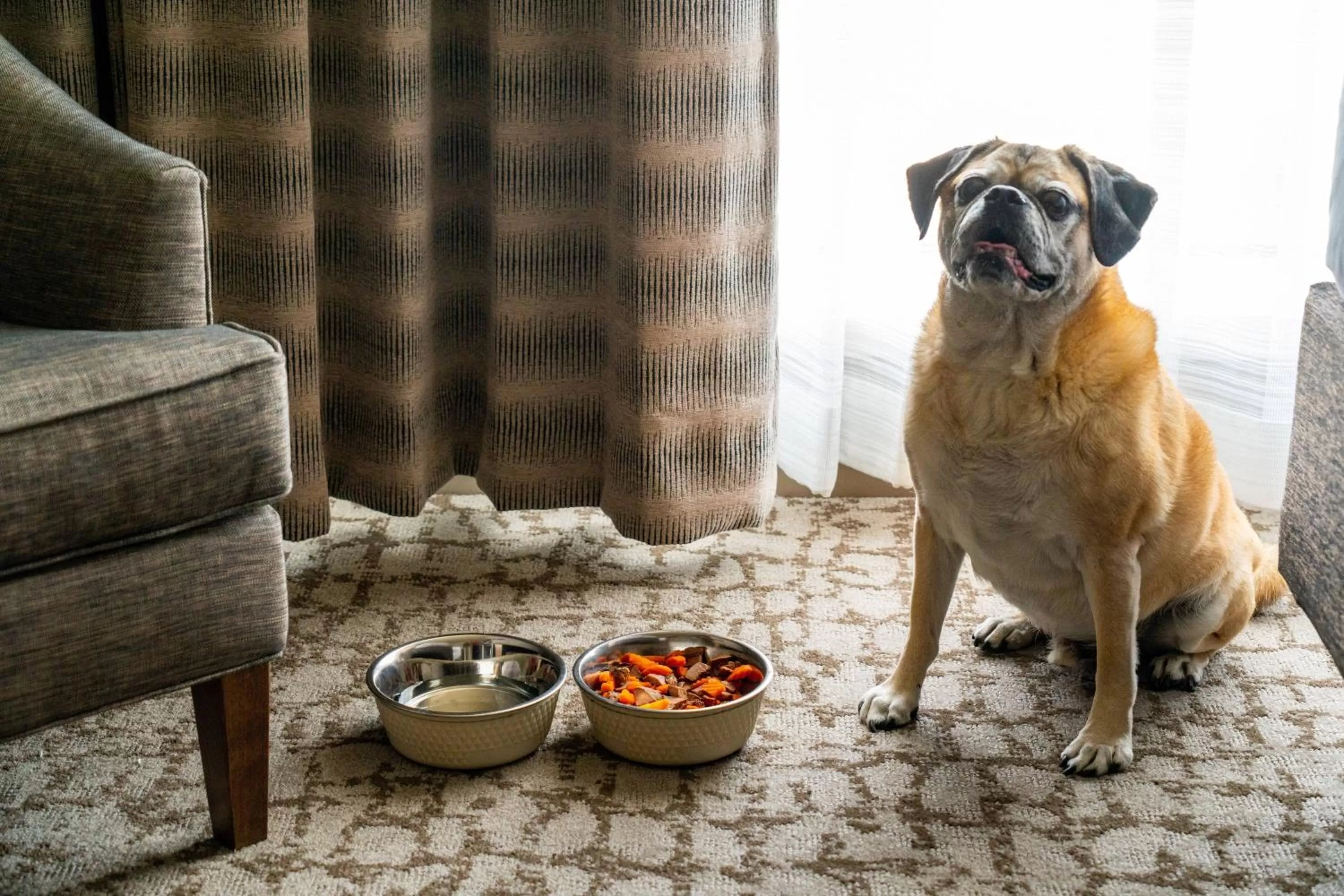 Other in The Woodlands Waterway Marriott Hotel and Convention Center