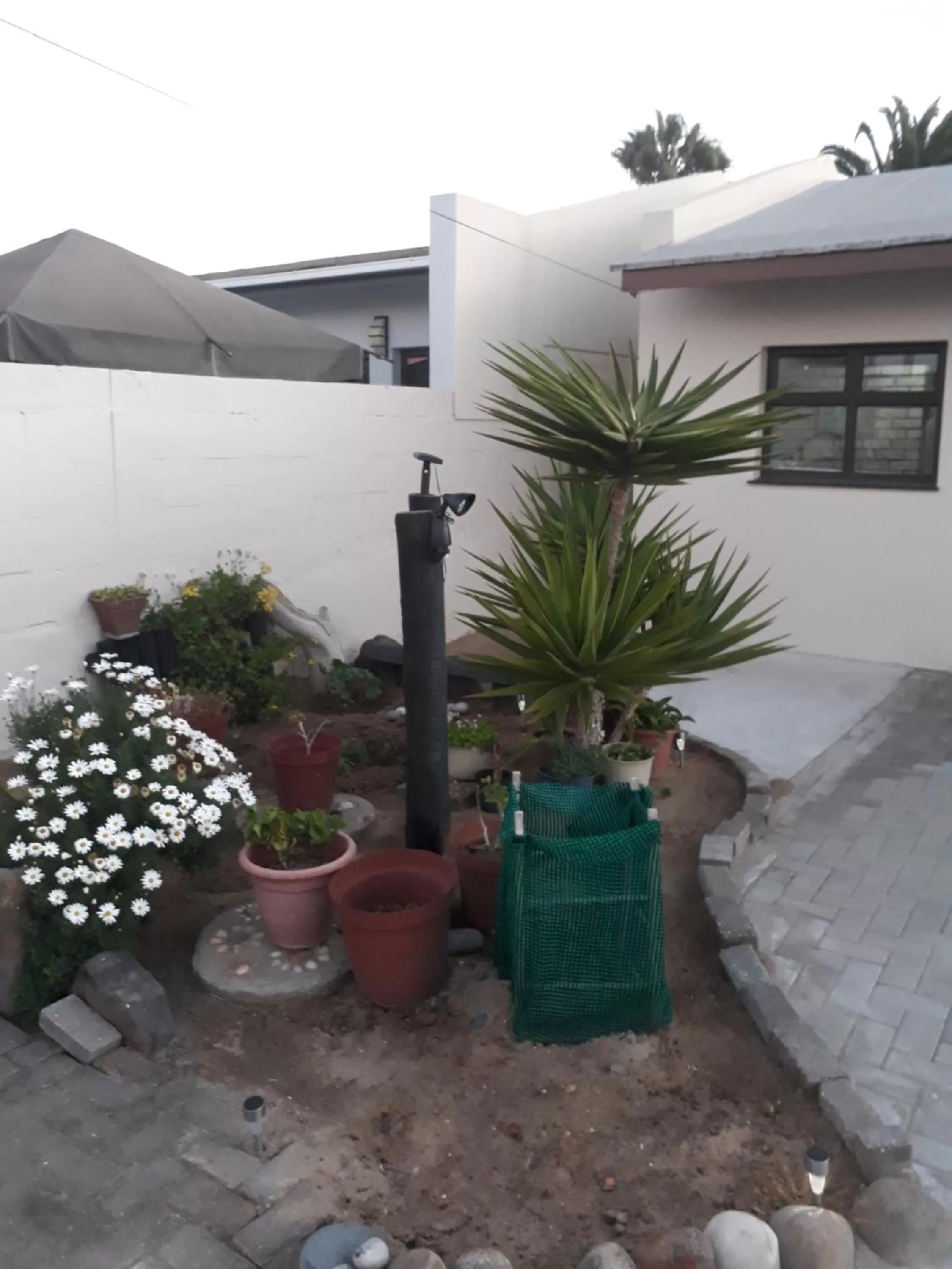 Garden in Sunflower Self-Catering