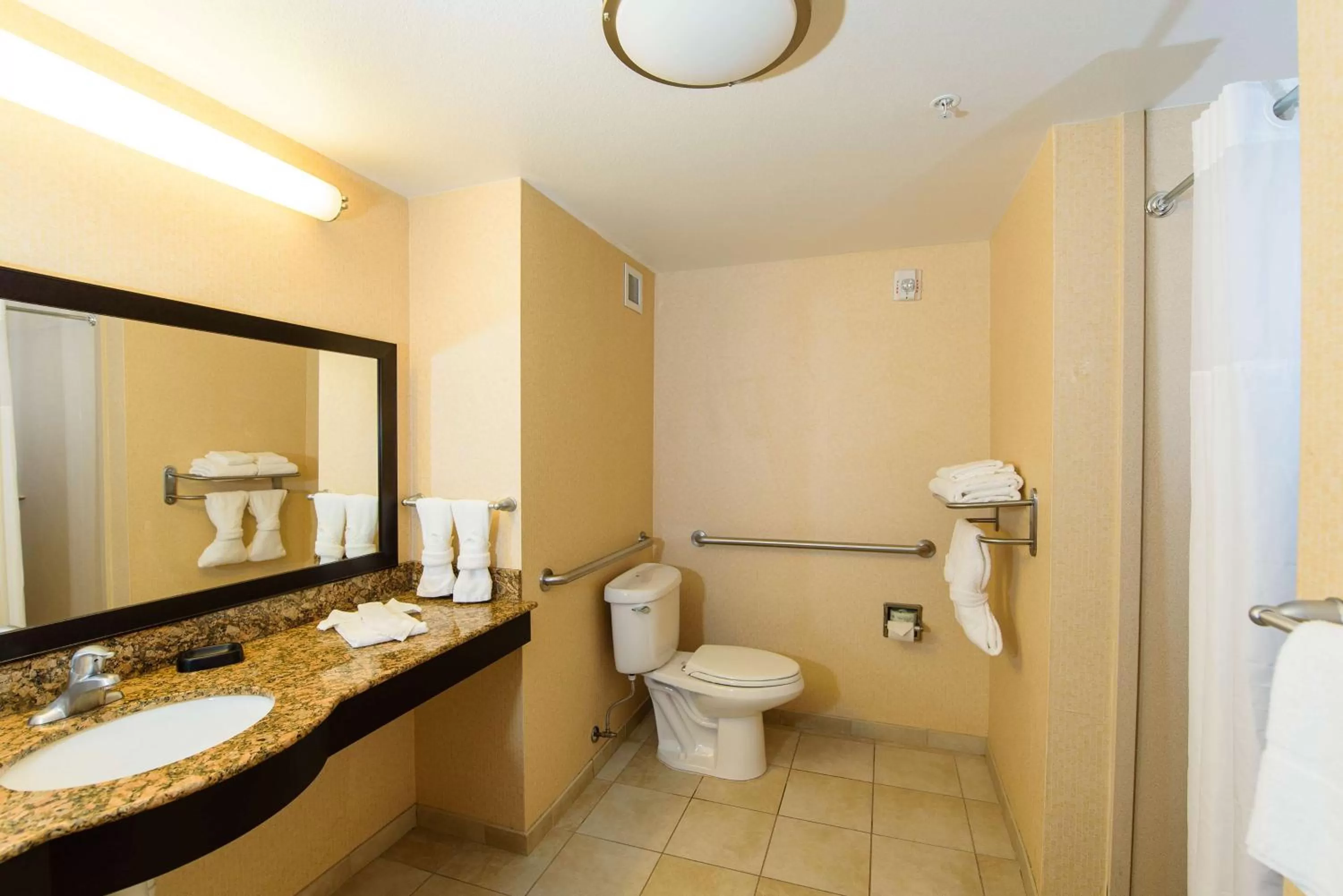 Bathroom in Hampton Inn & Suites Denver/Highlands Ranch