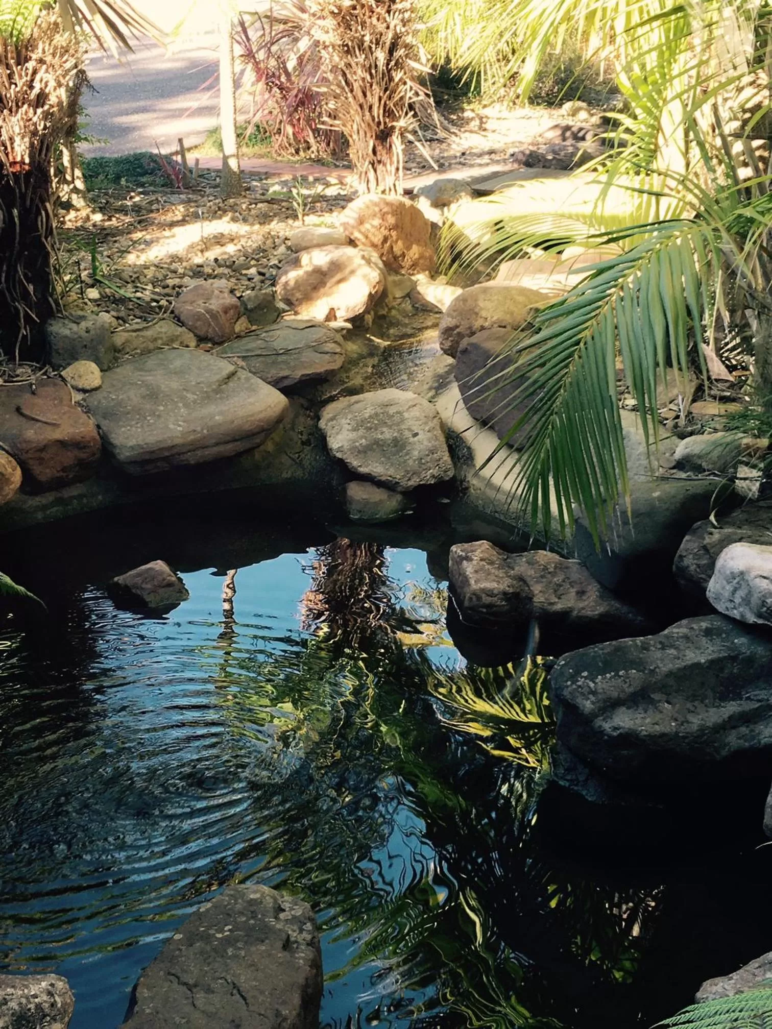 Garden in Fairway Motor Inn