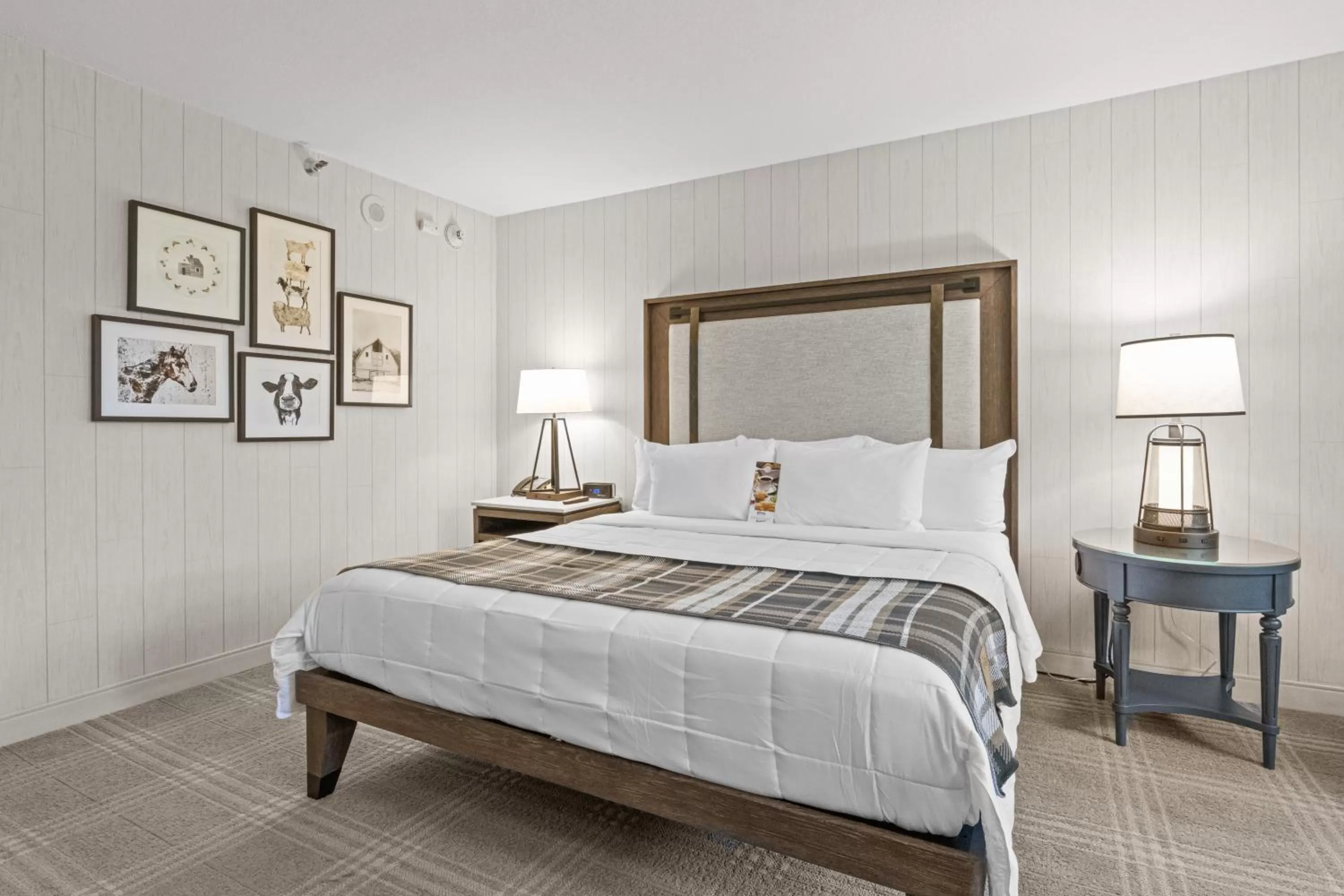 Bed in Knott's Hotel