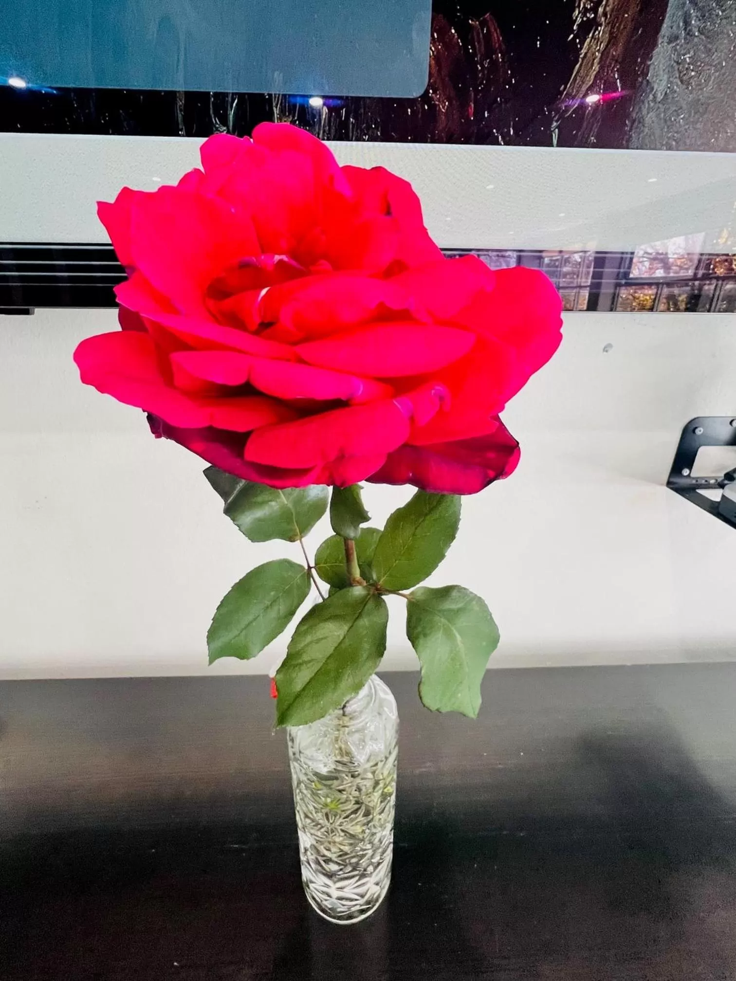 Meeting/conference room in Forrest Hotel & Apartments