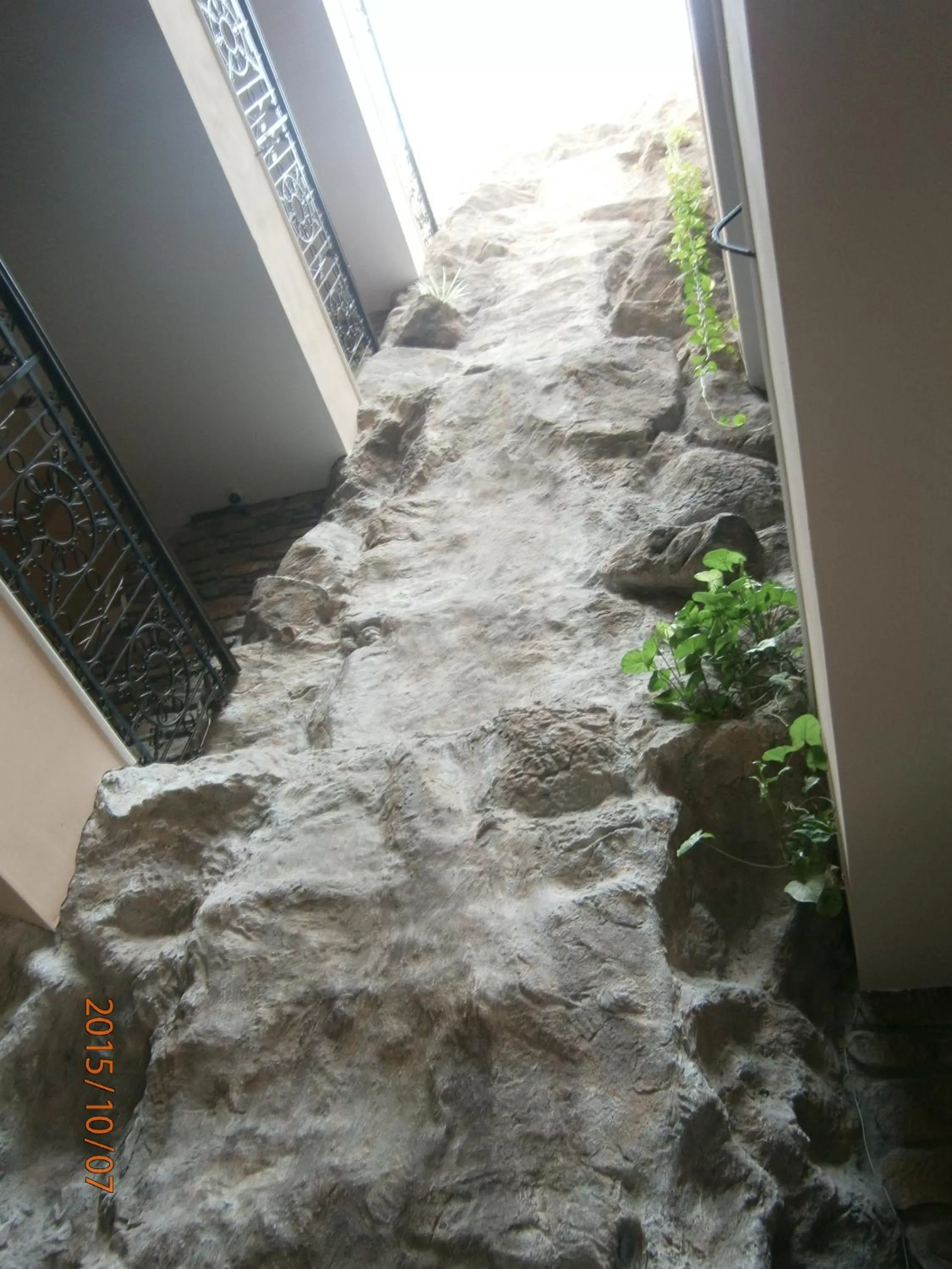 Decorative detail, Patio/Outdoor Area in Hotel Neptun