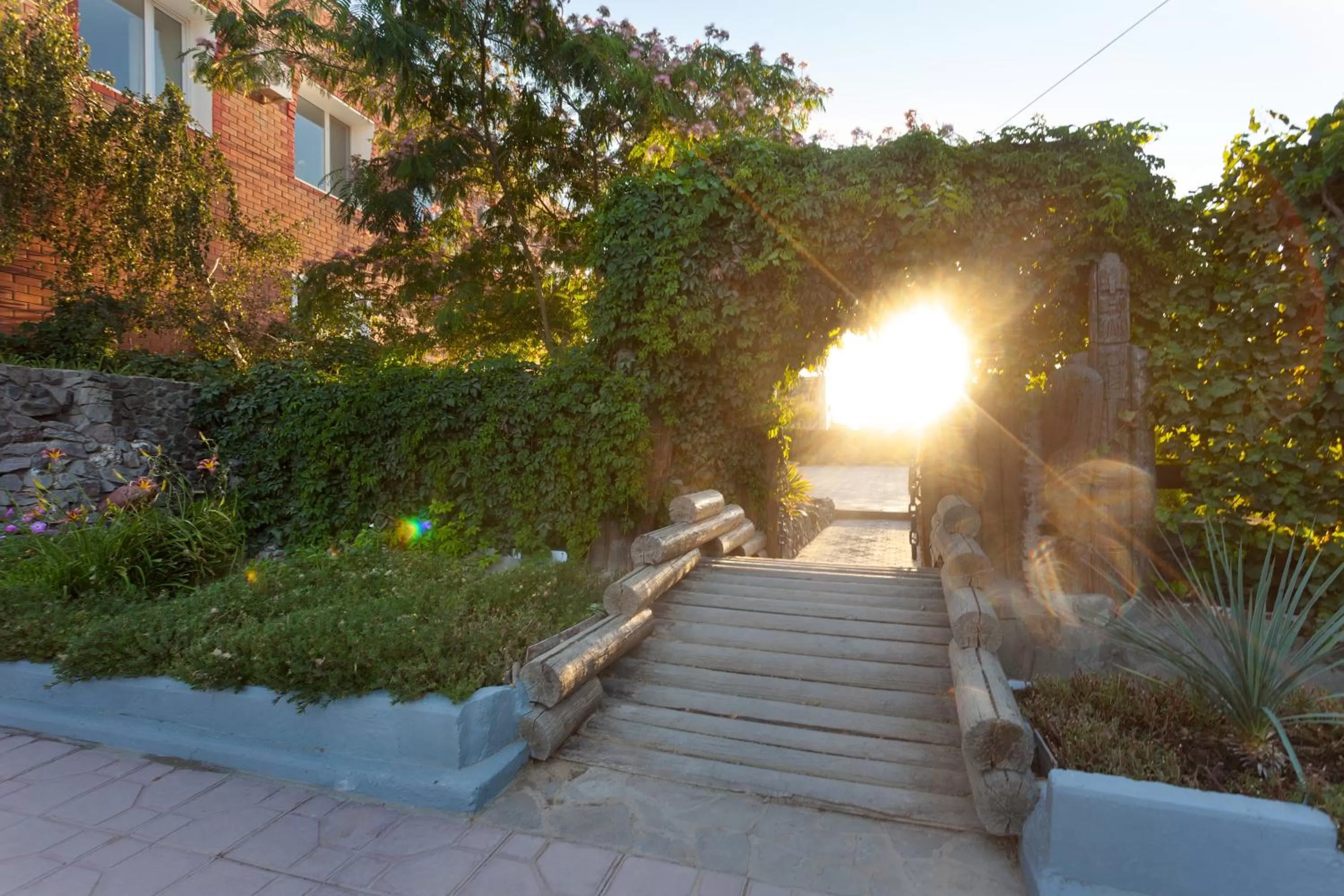 Garden view in Rahat Hotel