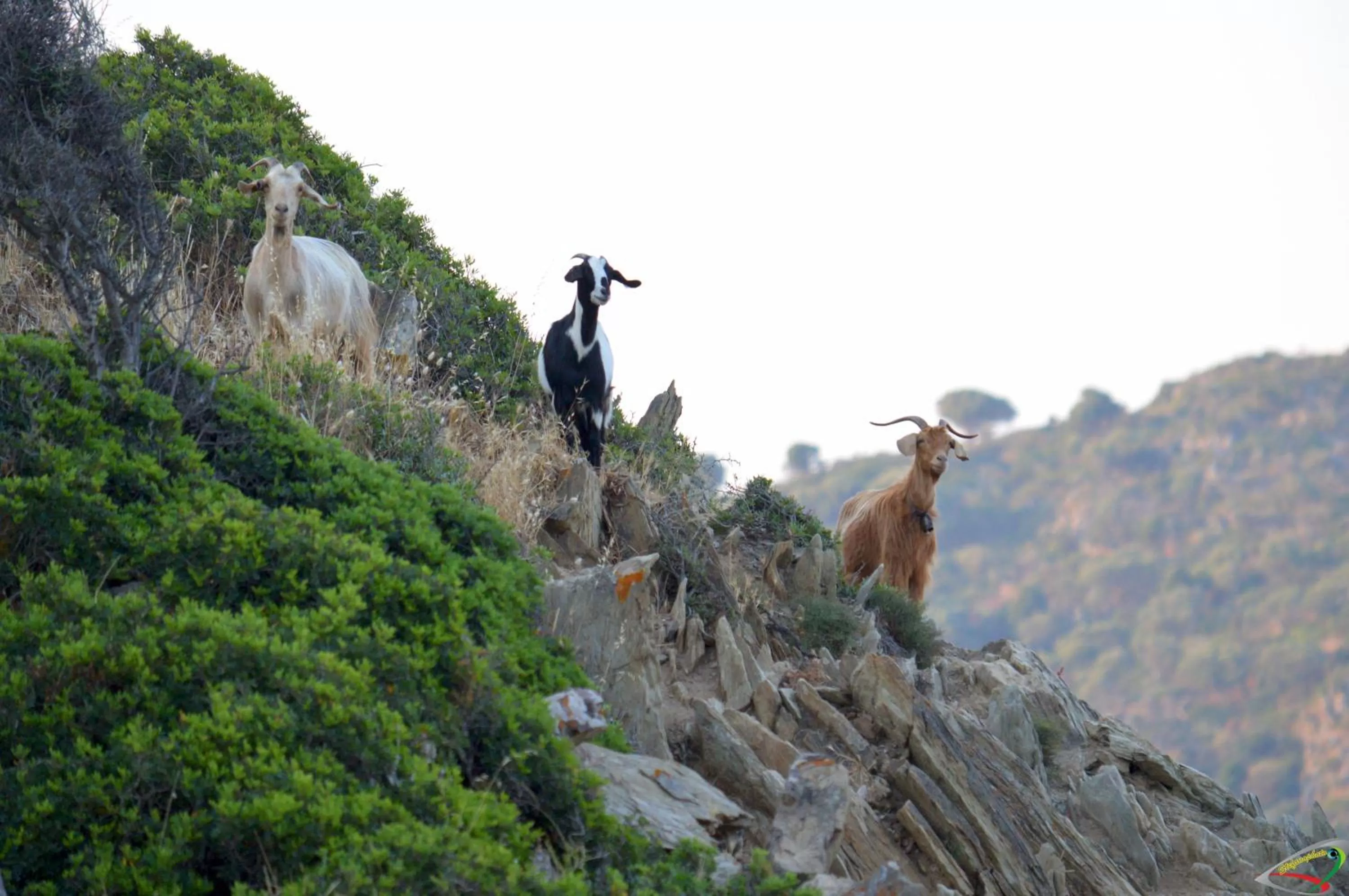 Area and facilities in Hotel Jasmine