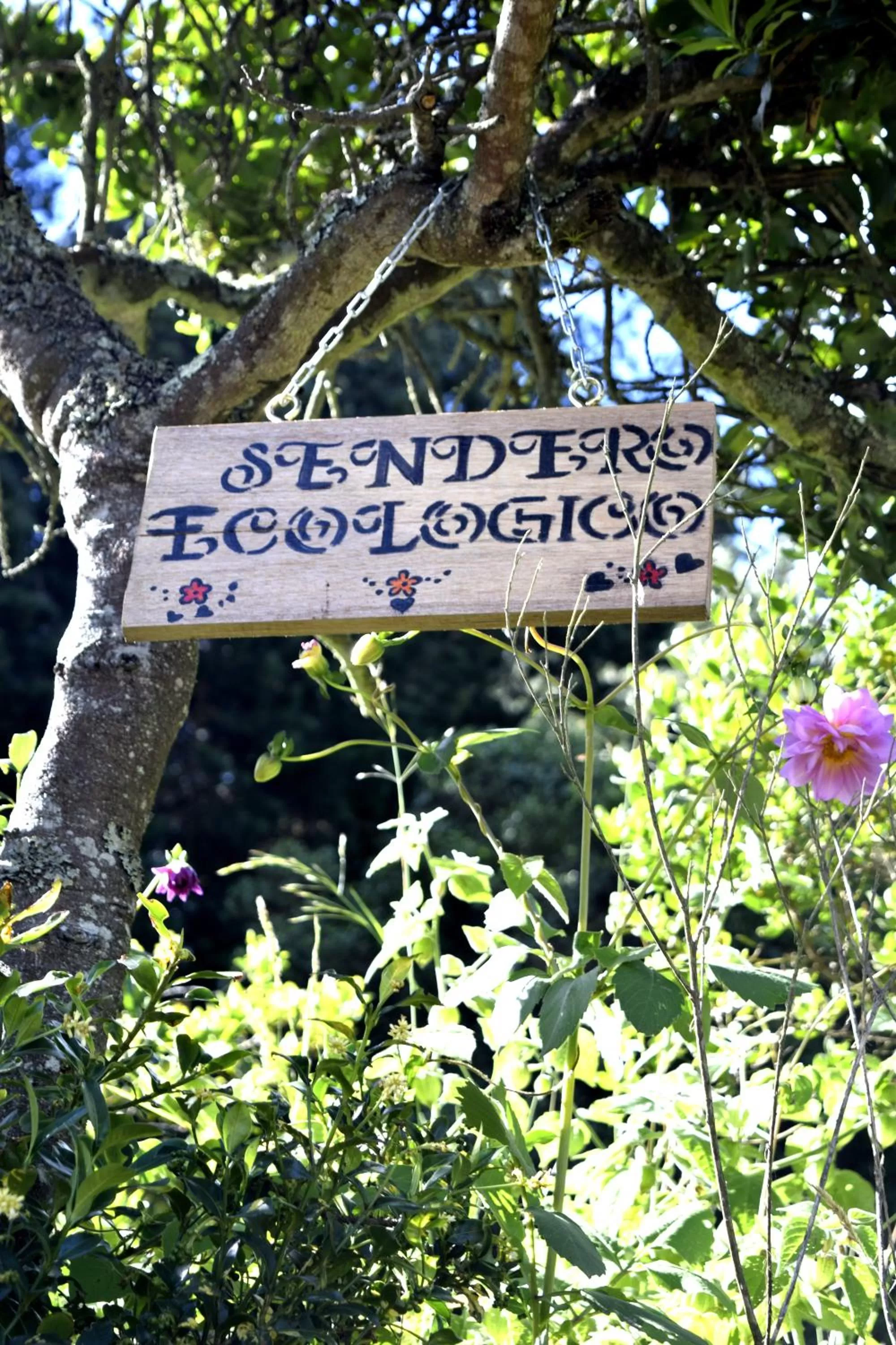 Natural landscape, Property Logo/Sign in El Pedregal Sopó