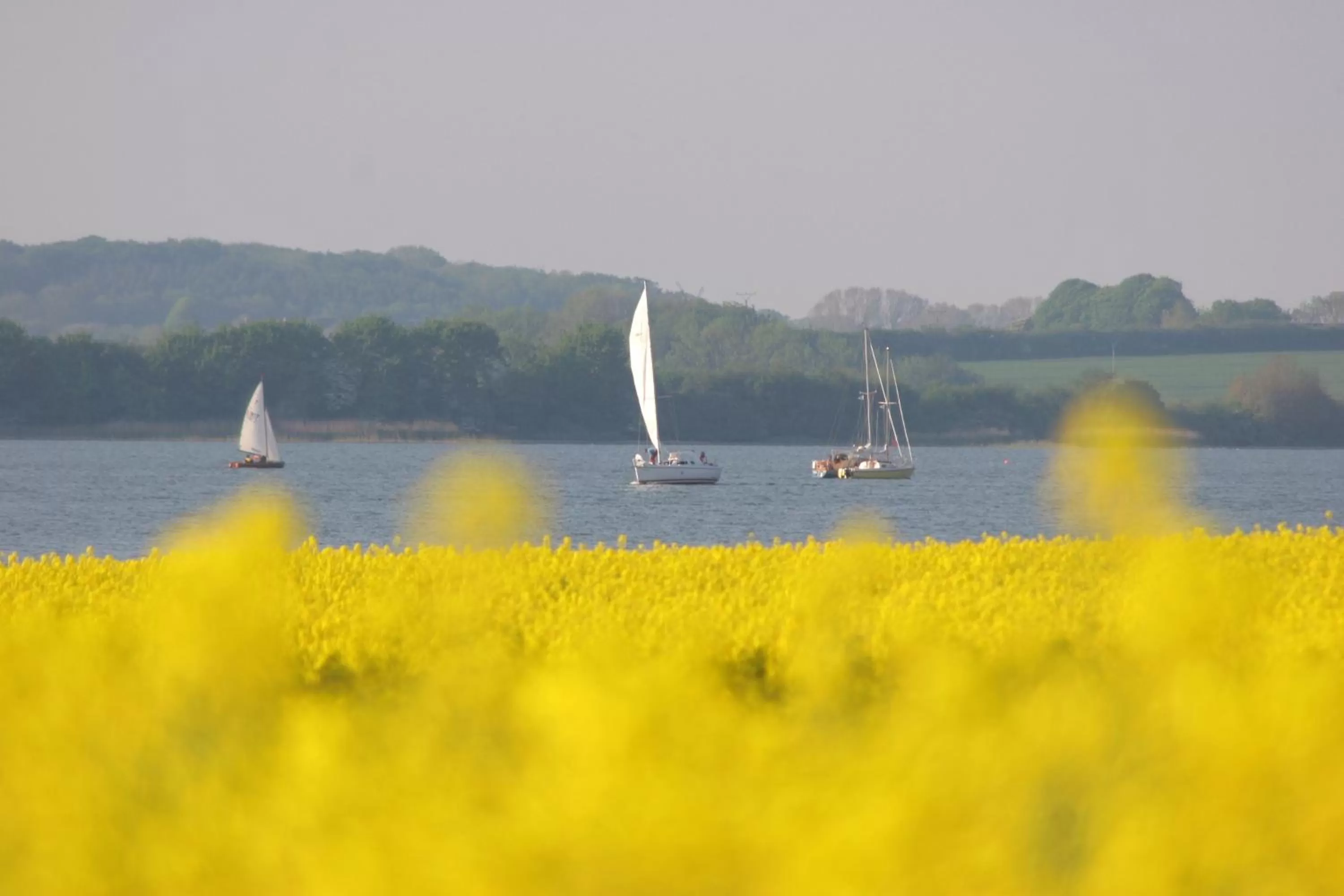 Natural landscape in Hotel an der Schlei Garni