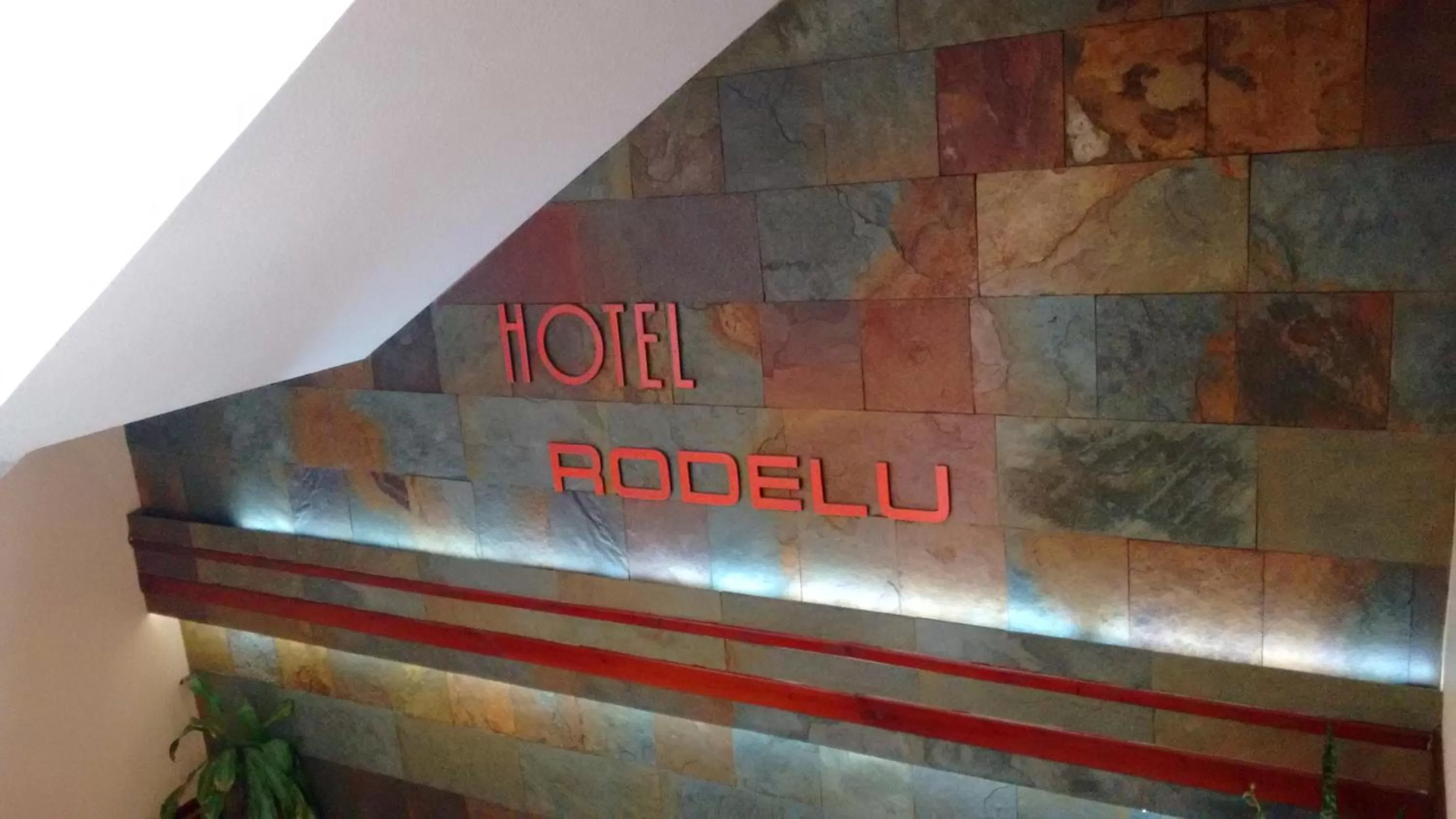 Area and facilities in Hotel Rodelu