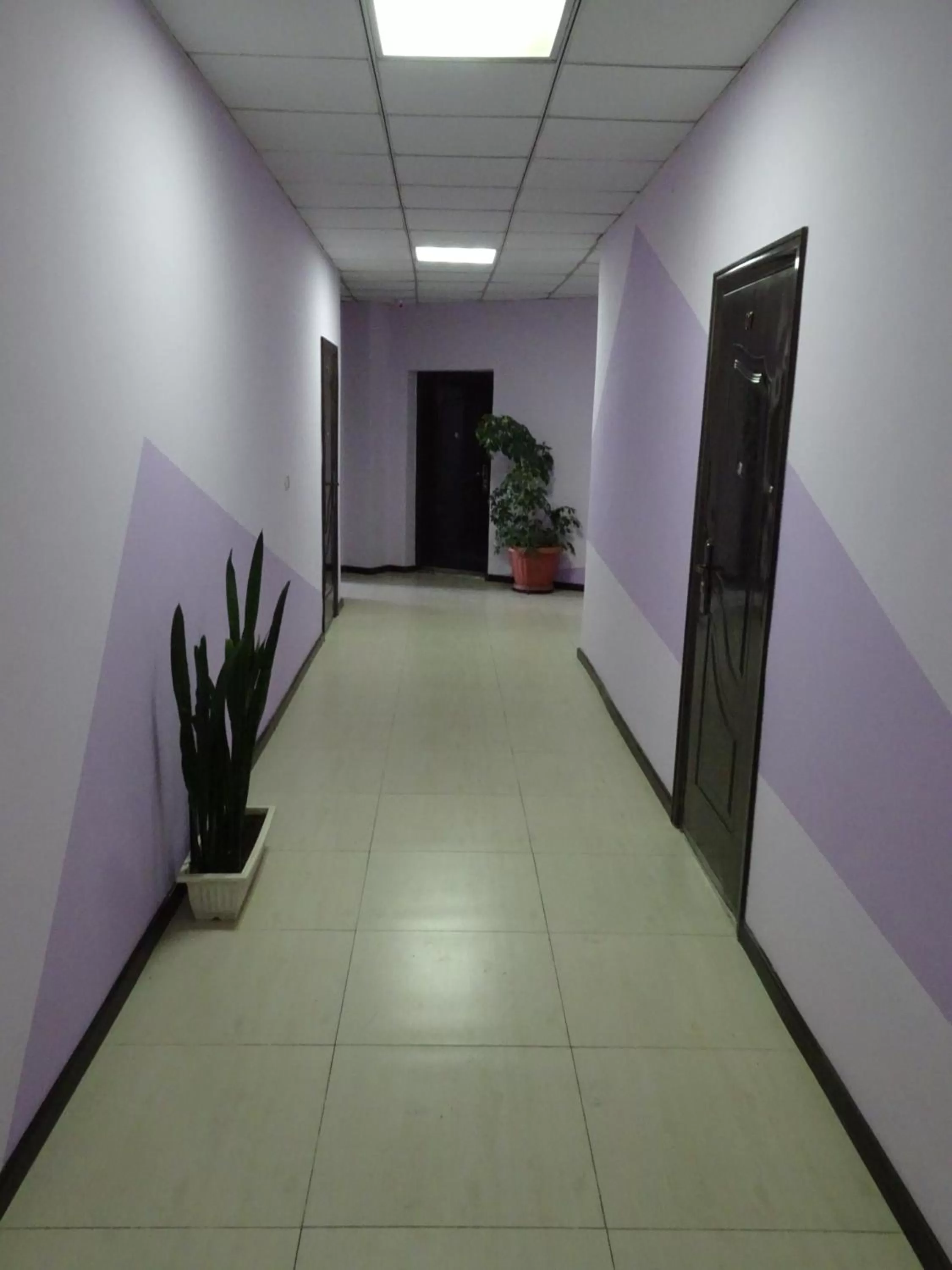 Property building in Tsolmon's Serviced Apartments