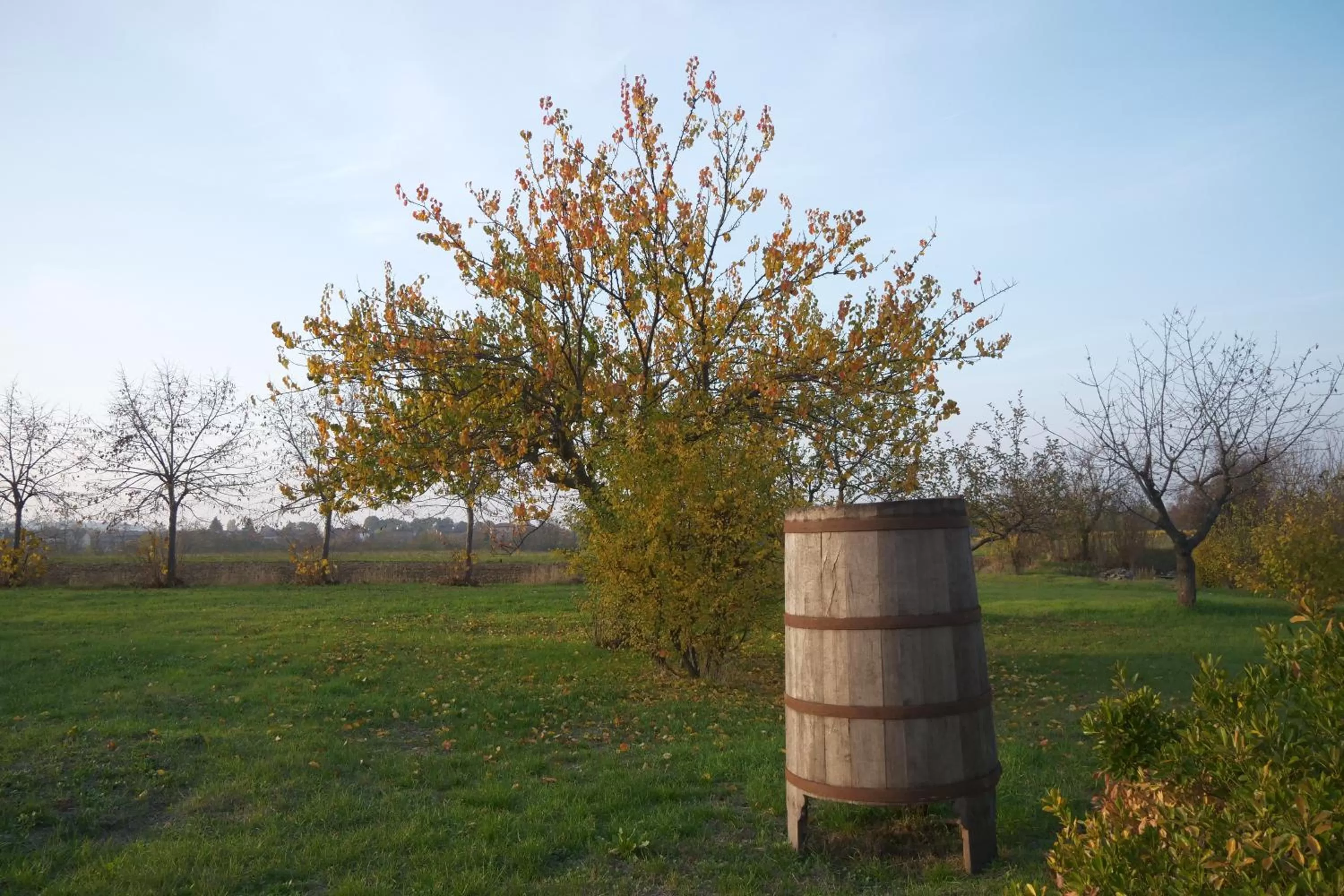 Natural landscape in B&B Des Artistes