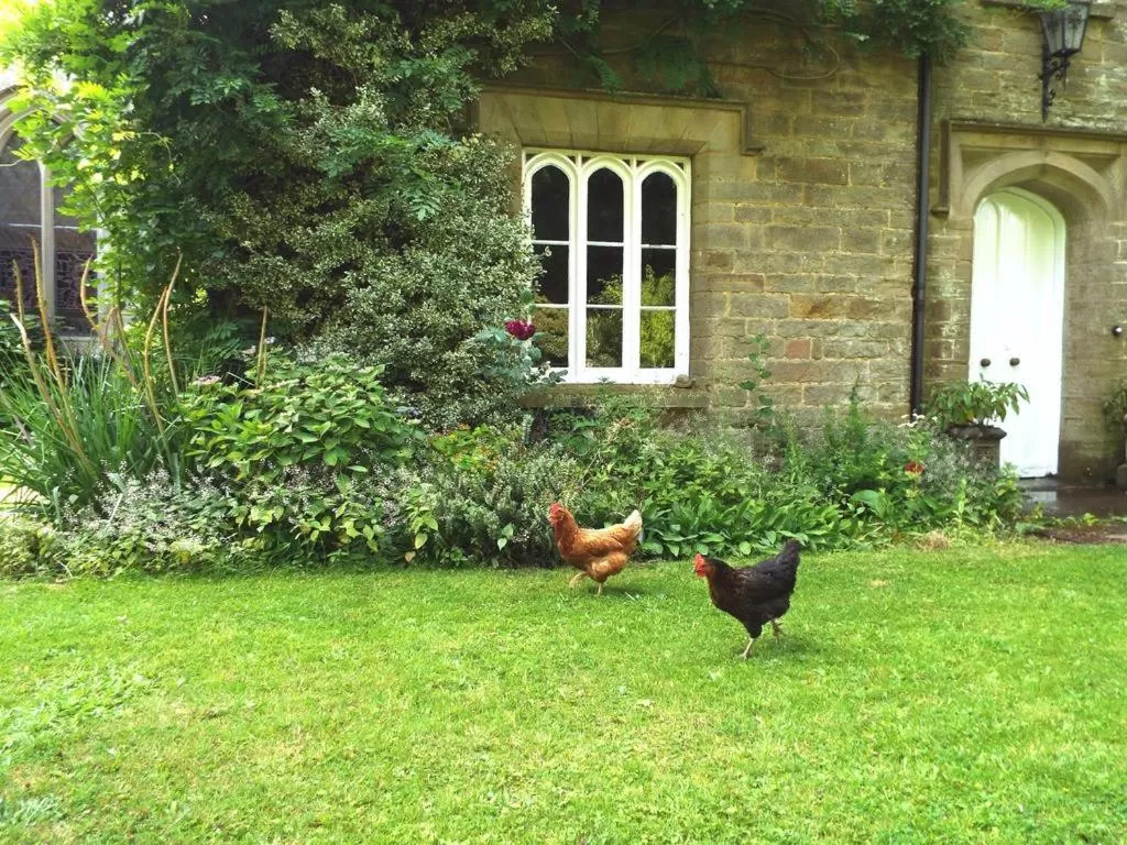 Property building in Old Vicarage B&B
