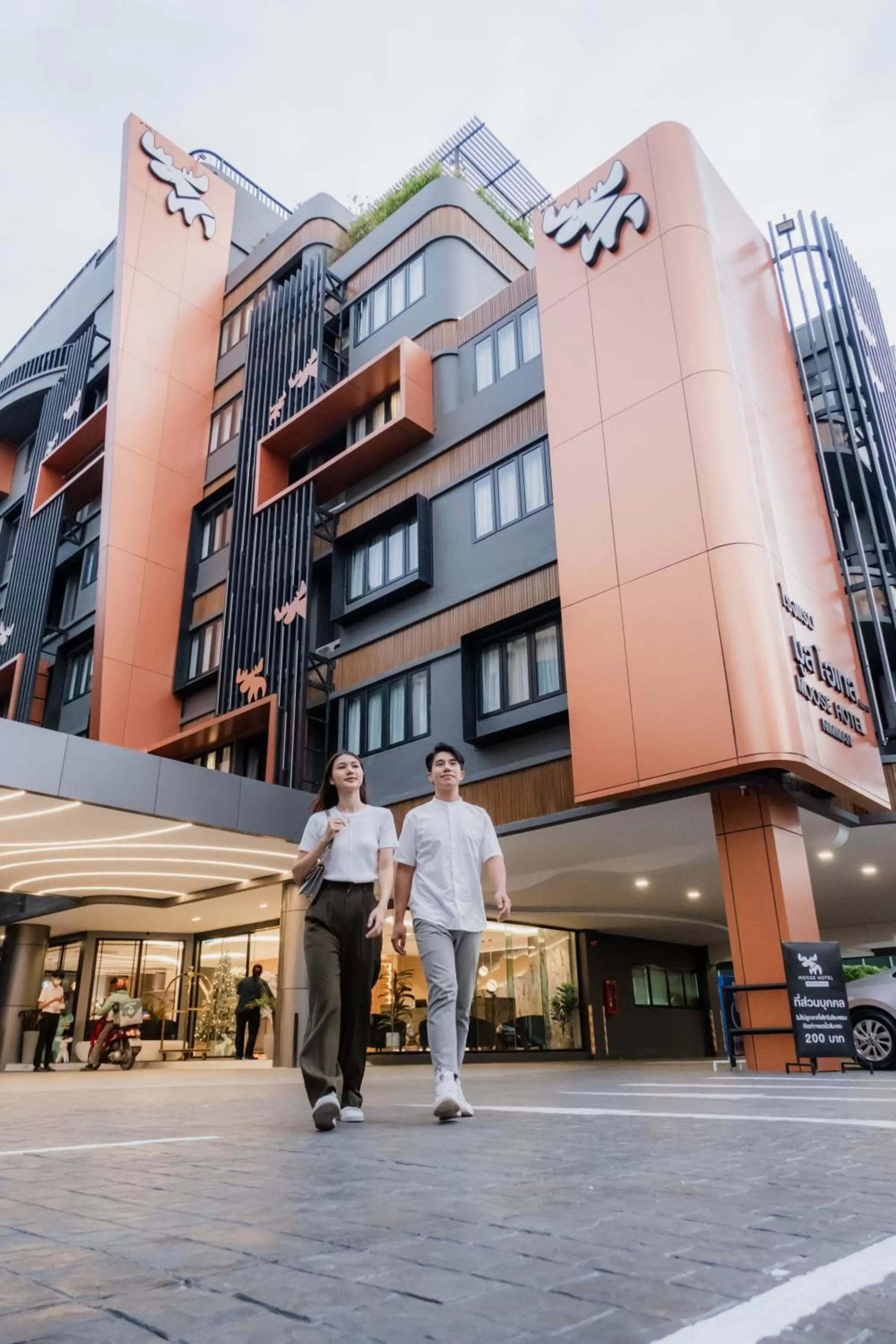 Property building in Moose Hotel Nimman