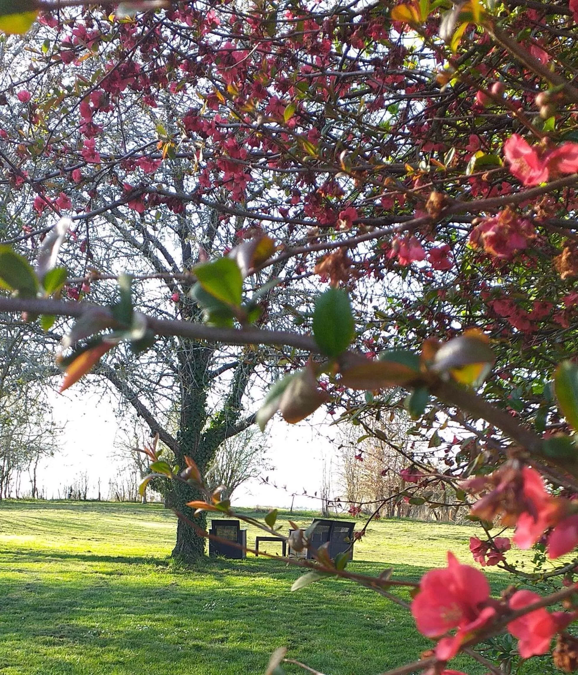 Garden in La BerryCurienne proche du Zoo de Beauval Saint-Aignan avec SDB, WC ET SPA PRIVATIF pour chaque chambre
