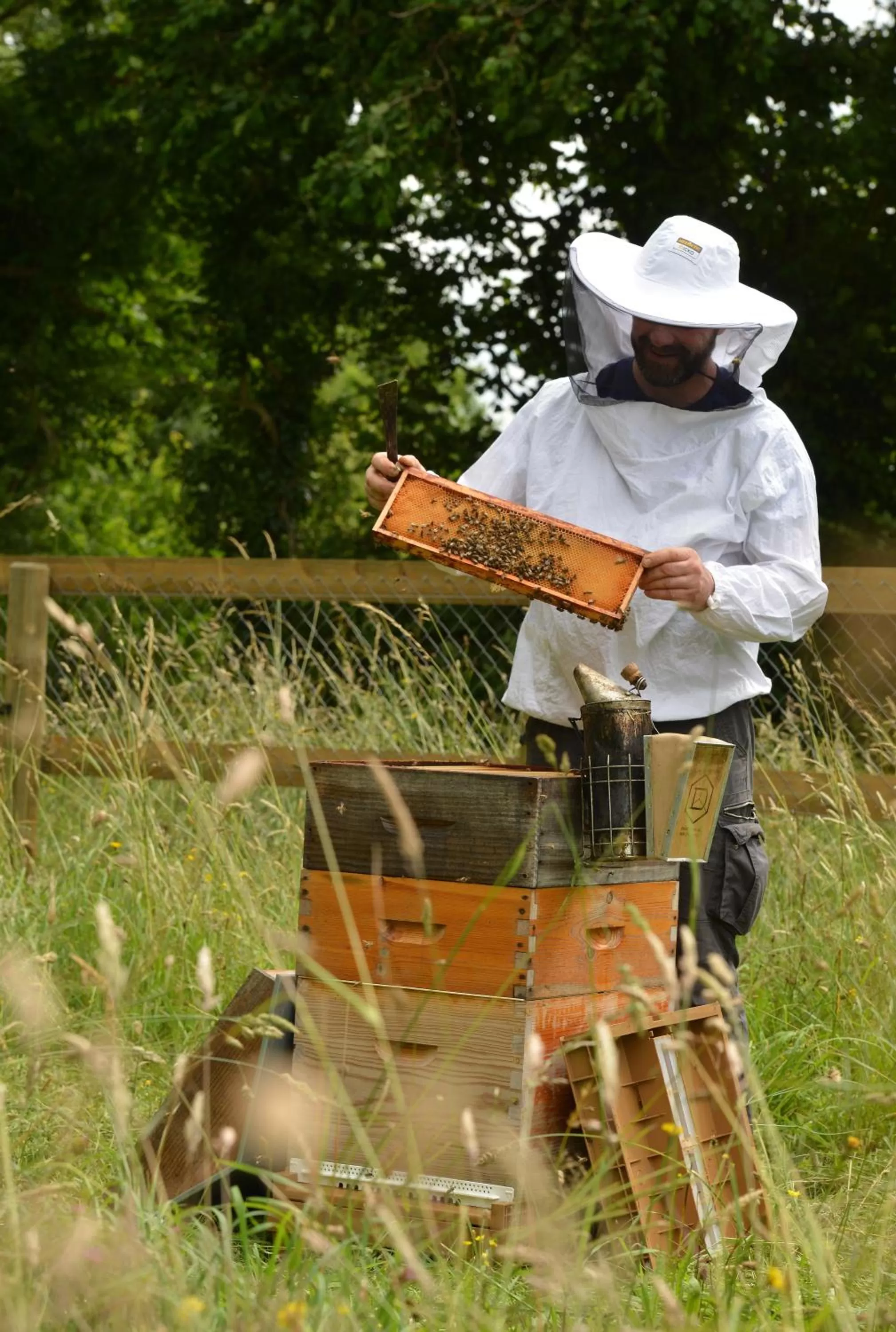 Pets in Château Saint Gilles - Bayeux
