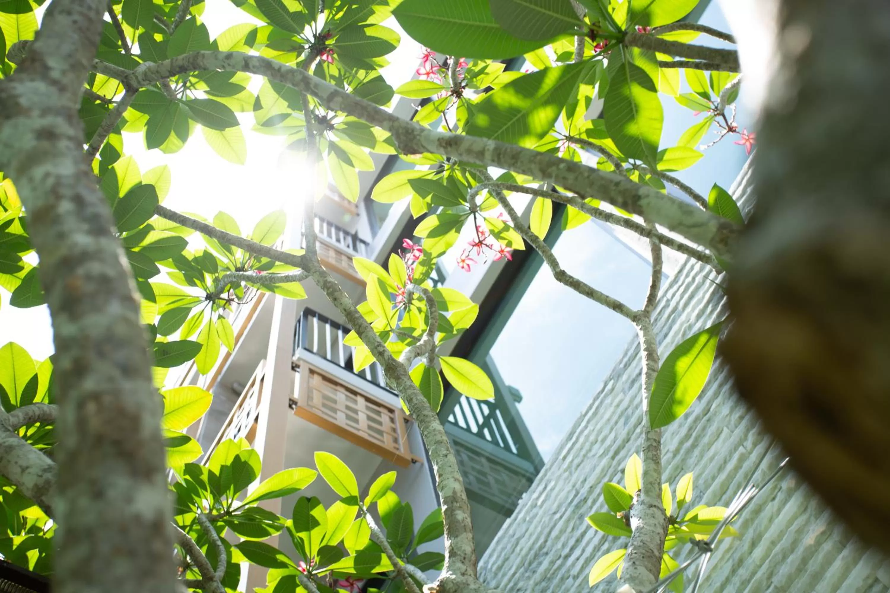 Other in SHAN Villas Sukhumvit ฌานวิลล่า สุขุมวิท