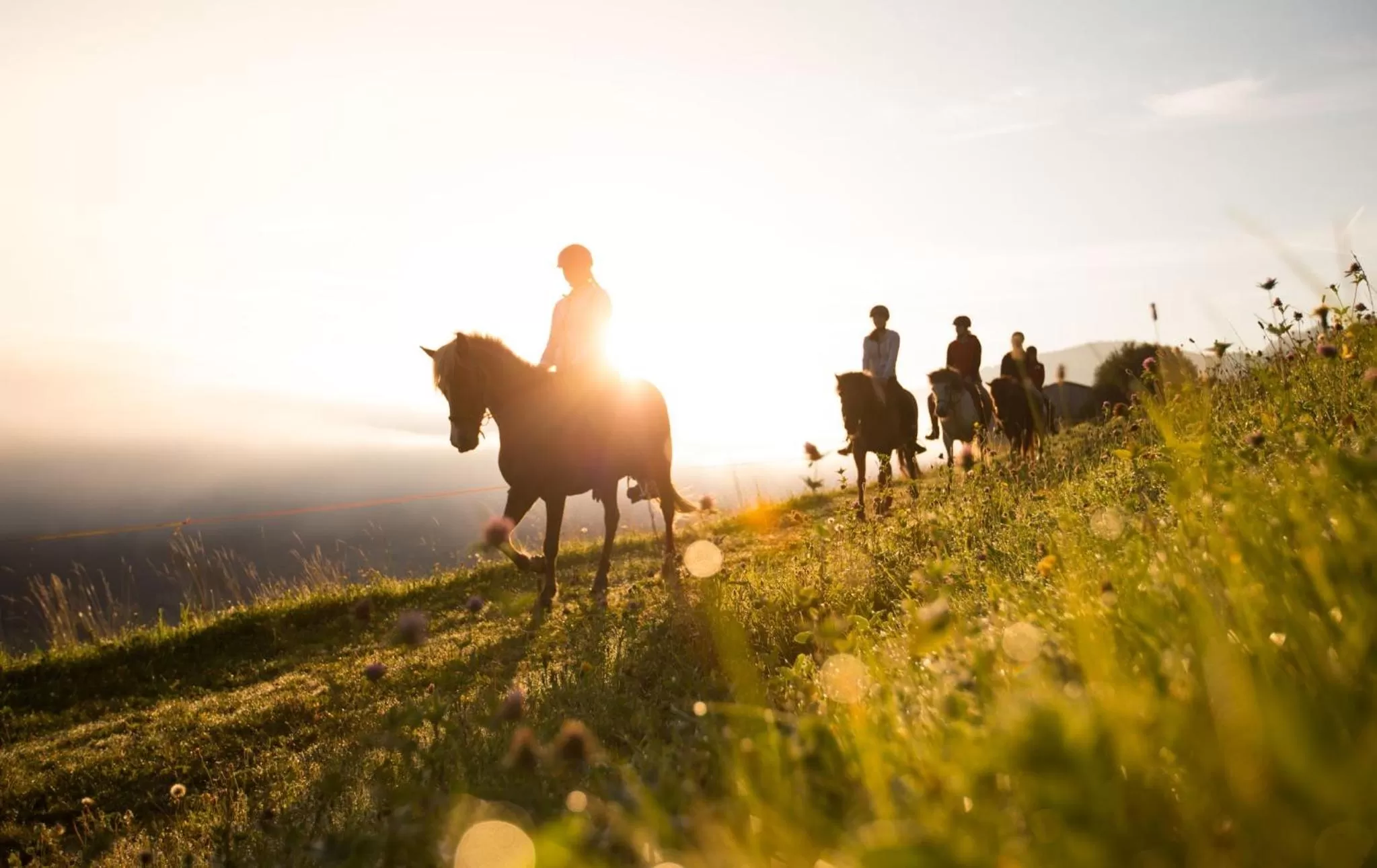 Horse-riding, Horseback Riding in Seiterhof