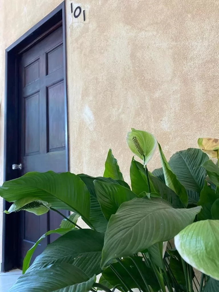 Hotel Camino Surreal Xilitla