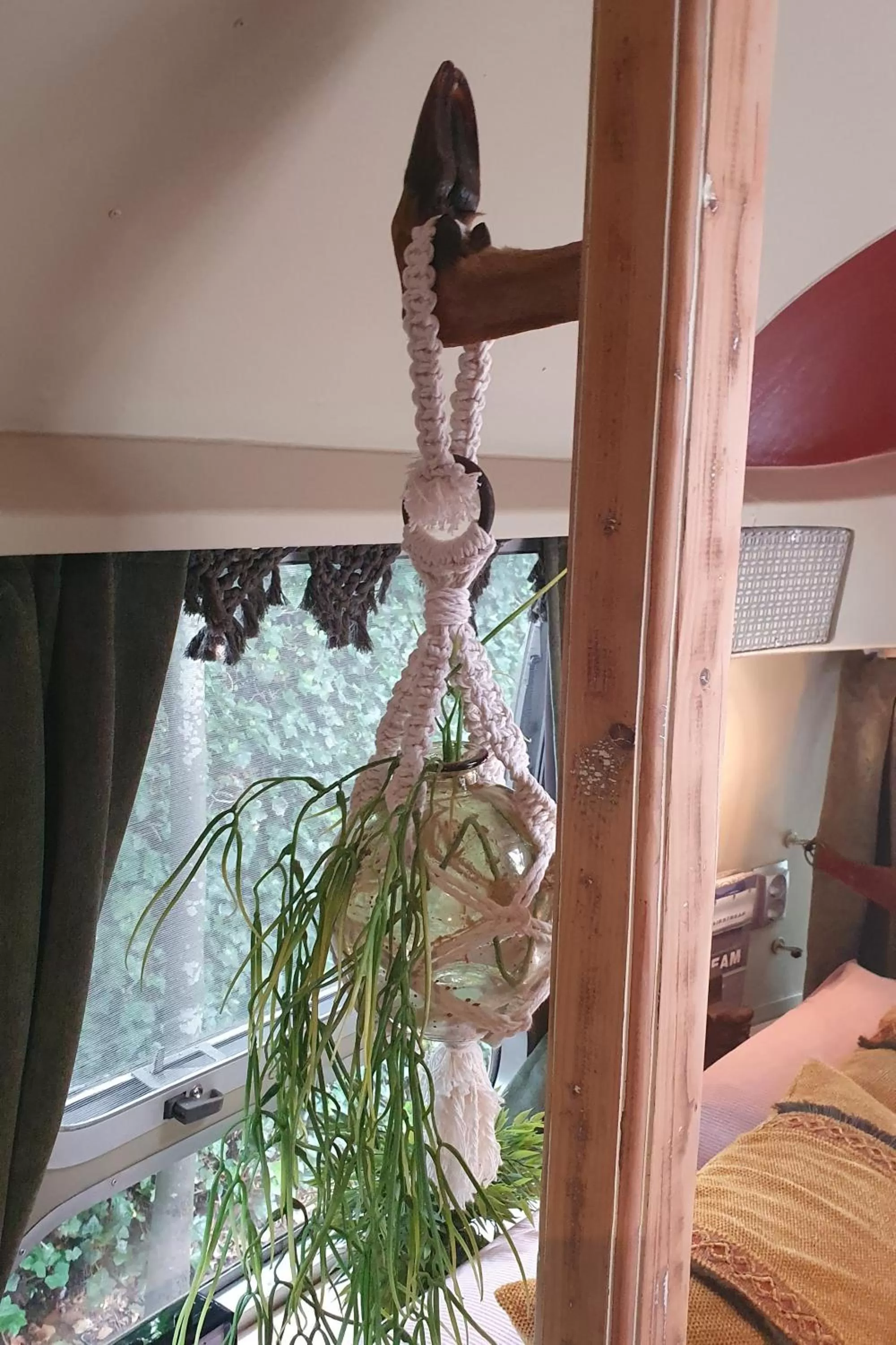 Guests in AirstreamNB