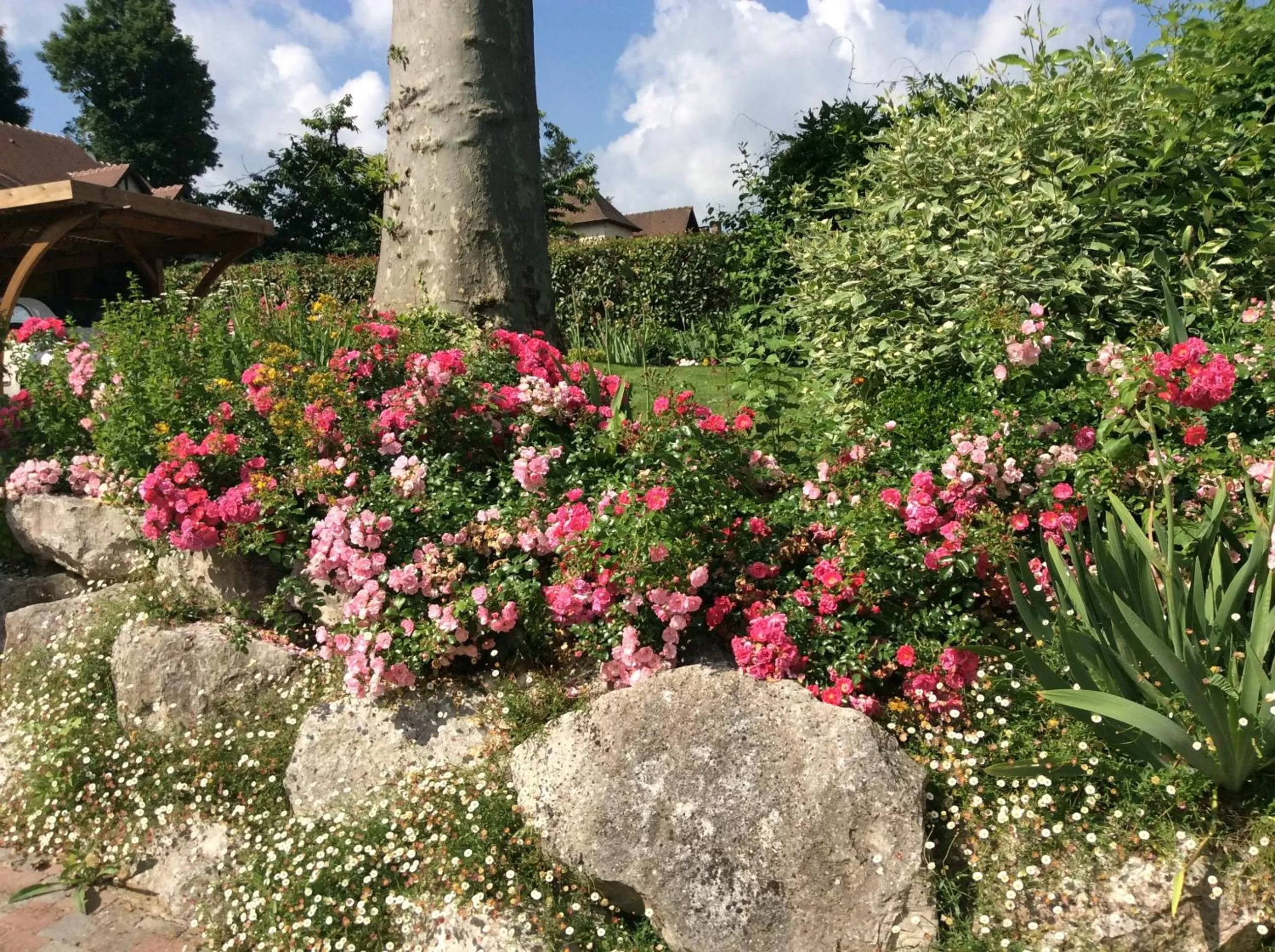 Garden in Les Chambres D'oriane